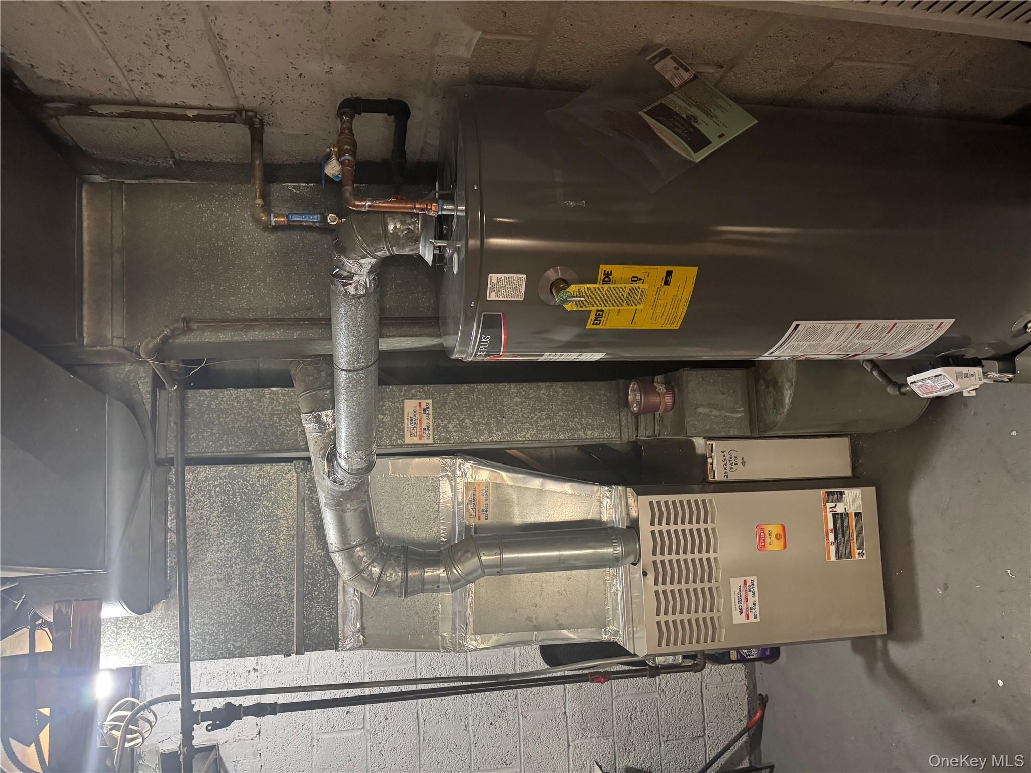 #9 photo, 1270 Rosedale Avenue, ブロンクス区 Bronx , NY 10472