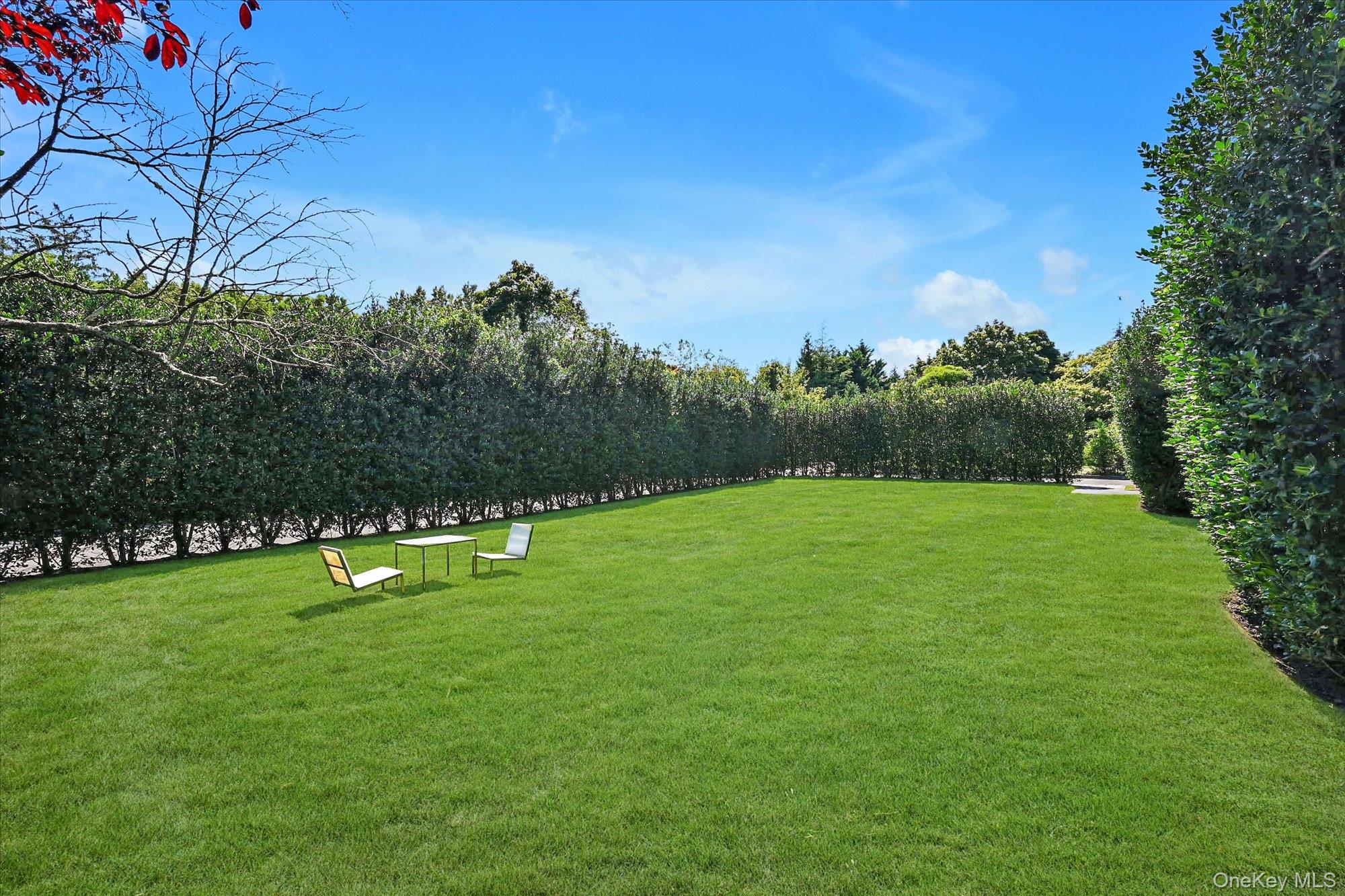 #17 photo, 30 & 16 Beechwood Drive, ナッソー郡 Lawrence , NY 11559