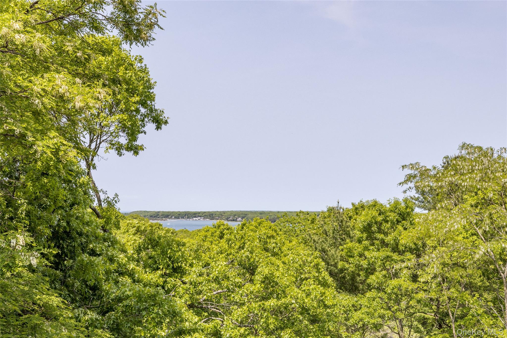 #17 photo, 29 Oyster Pond Lane, サフォーク郡 East Hampton , NY 11937