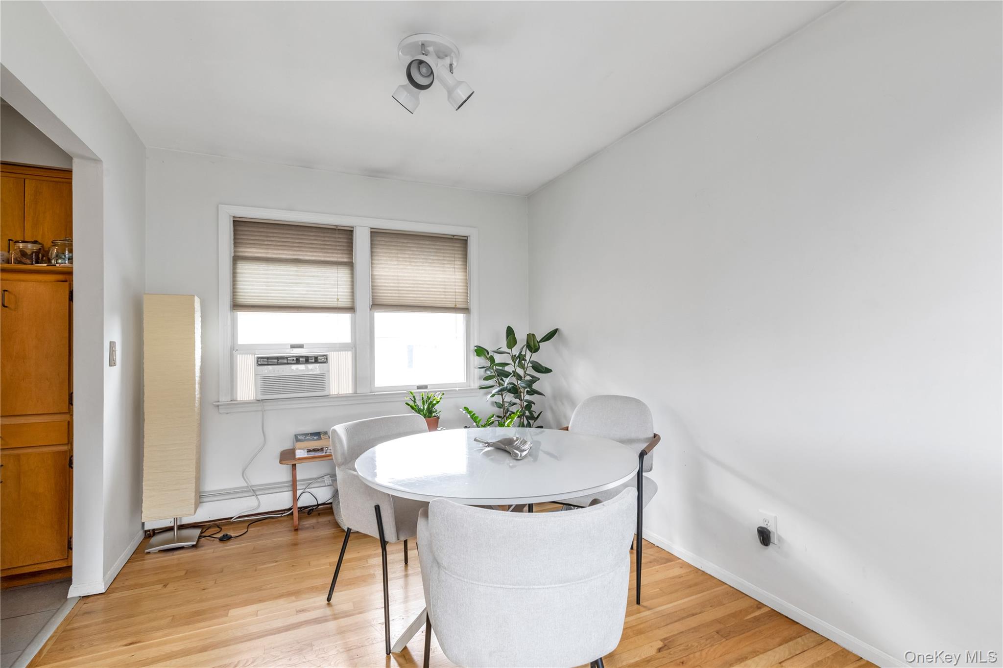 #16 photo, 41 Jackson Avenue, ナッソー郡 Mineola , NY 11501