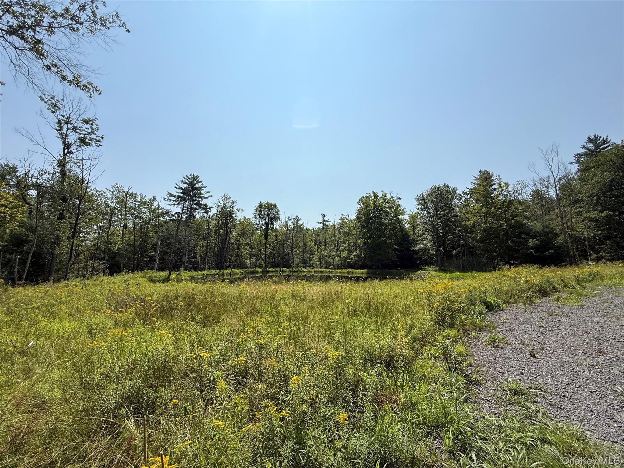 #4 photo, 16 Kerness Road, Ellenville , NY 12428