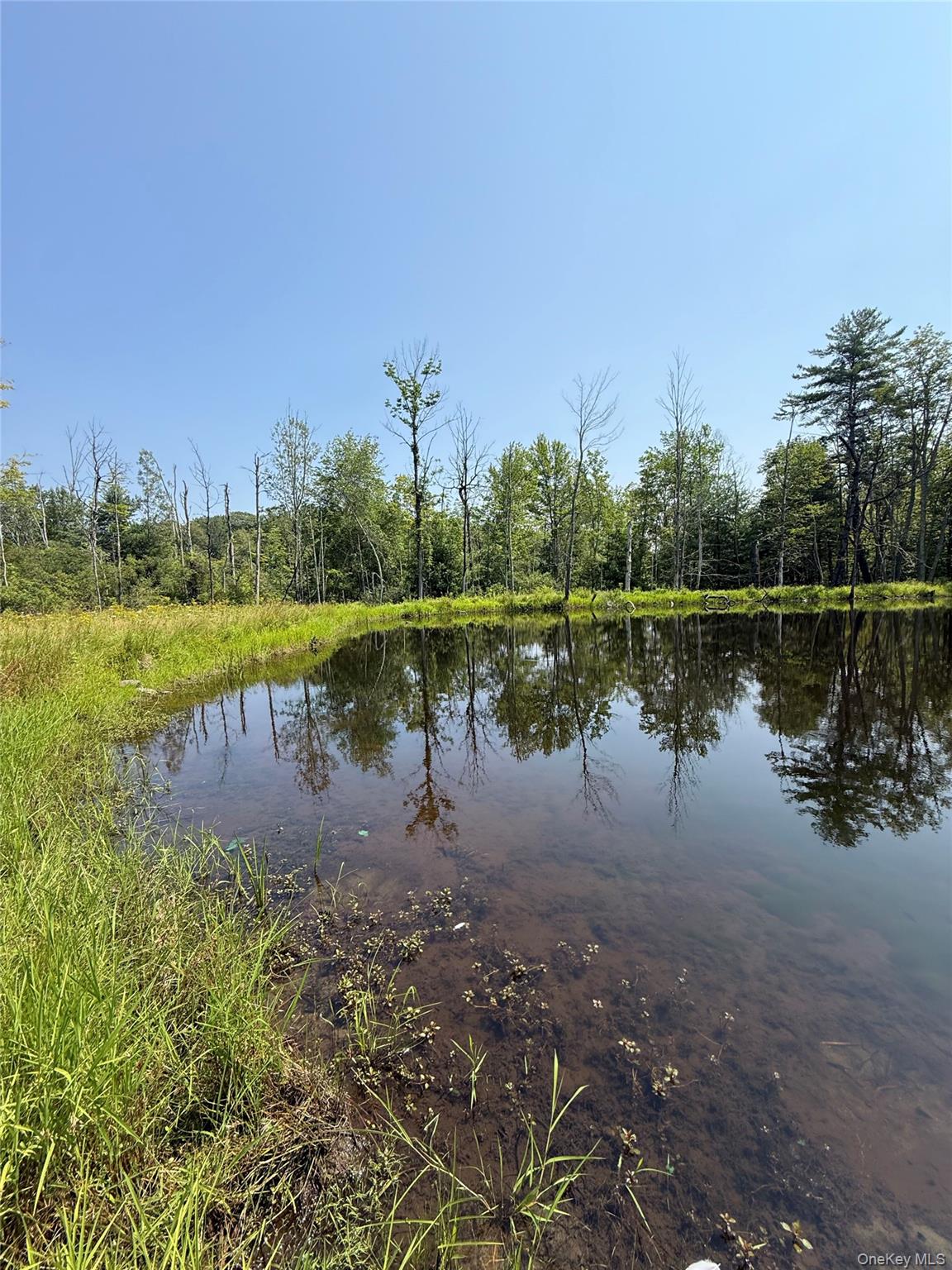 #5 photo, 16 Kerness Road, Ellenville , NY 12428