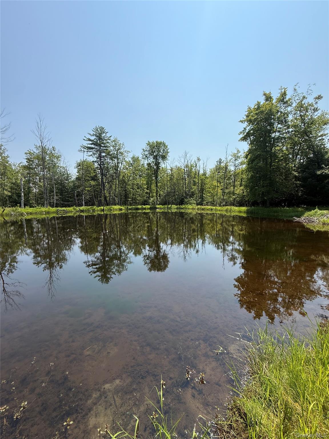 #6 photo, 16 Kerness Road, Ellenville , NY 12428