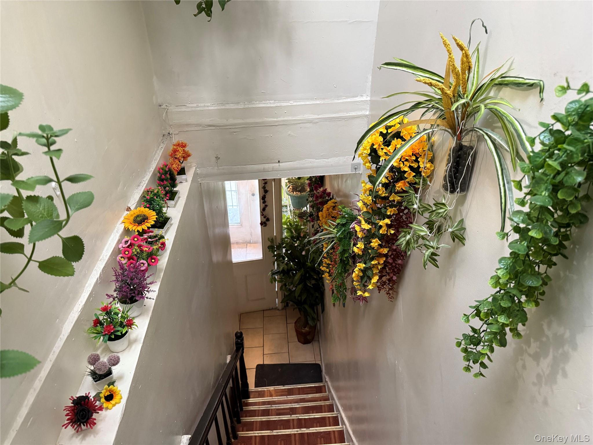 #15 photo, 1999 Morris Avenue, ブロンクス区 Bronx , NY 10453