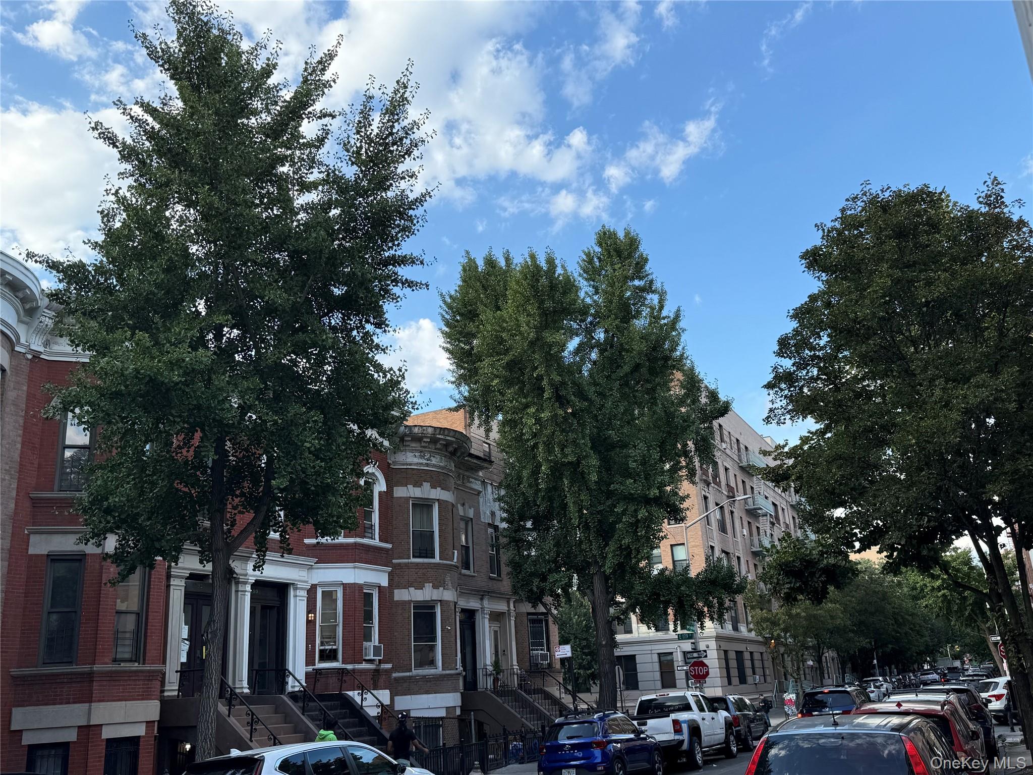 #6 photo, 1999 Morris Avenue, ブロンクス区 Bronx , NY 10453