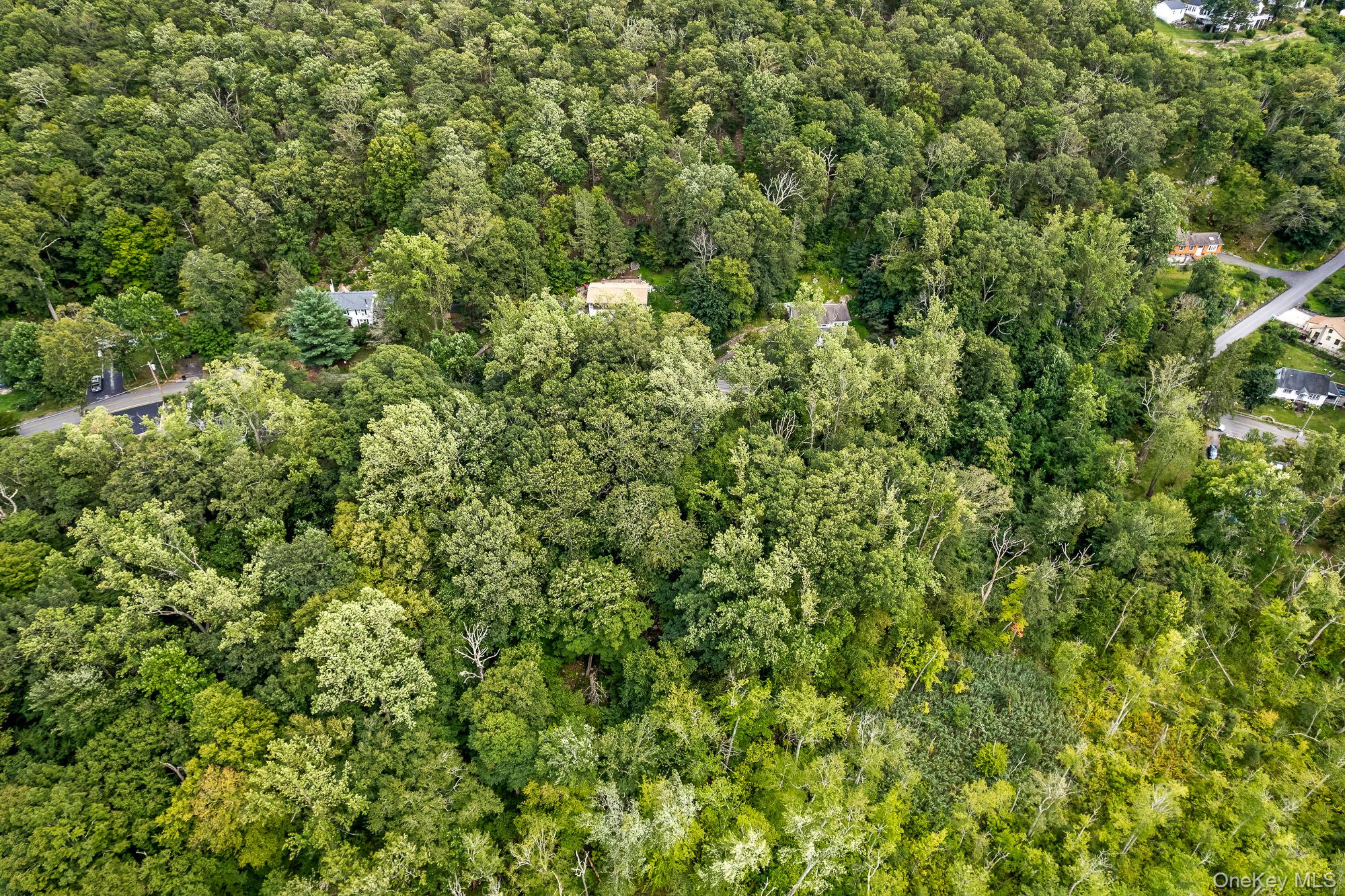 #10 photo, Sagamore Avenue, Mohegan Lake , NY 10547