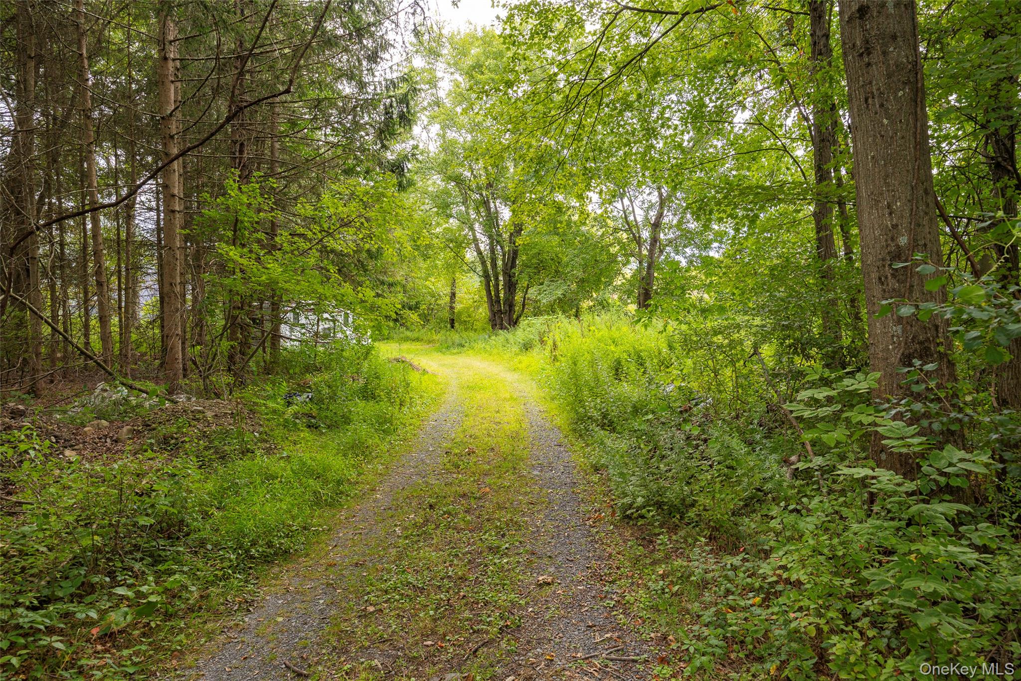 #20 photo, 993 State Route 32, Wallkill , NY 12589