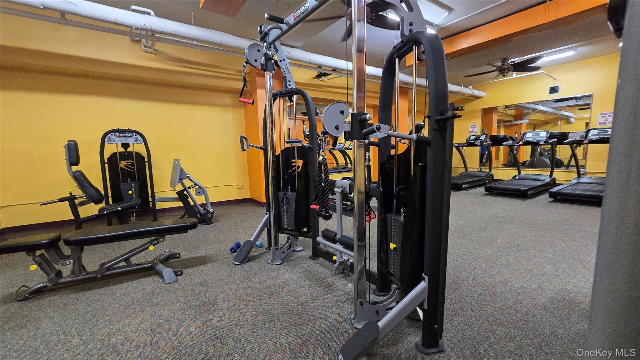 #10 photo, 175-20 Wexford Terrace, クイーンズ区 Jamaica Estates , NY 11432