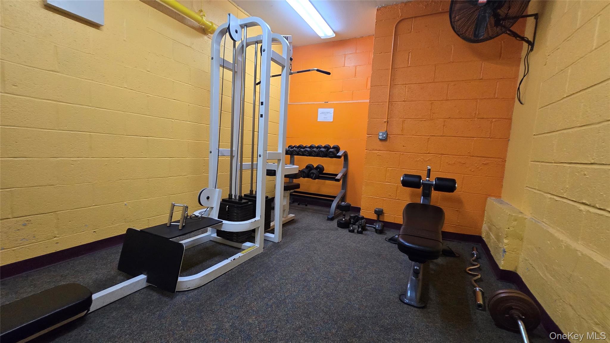 #13 photo, 175-20 Wexford Terrace, クイーンズ区 Jamaica Estates , NY 11432