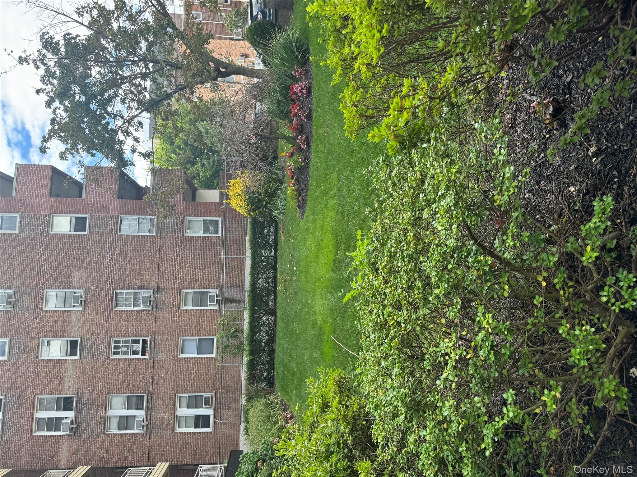 #19 photo, 65-50 Wetherole st, クイーンズ区 Rego Park , NY 11374