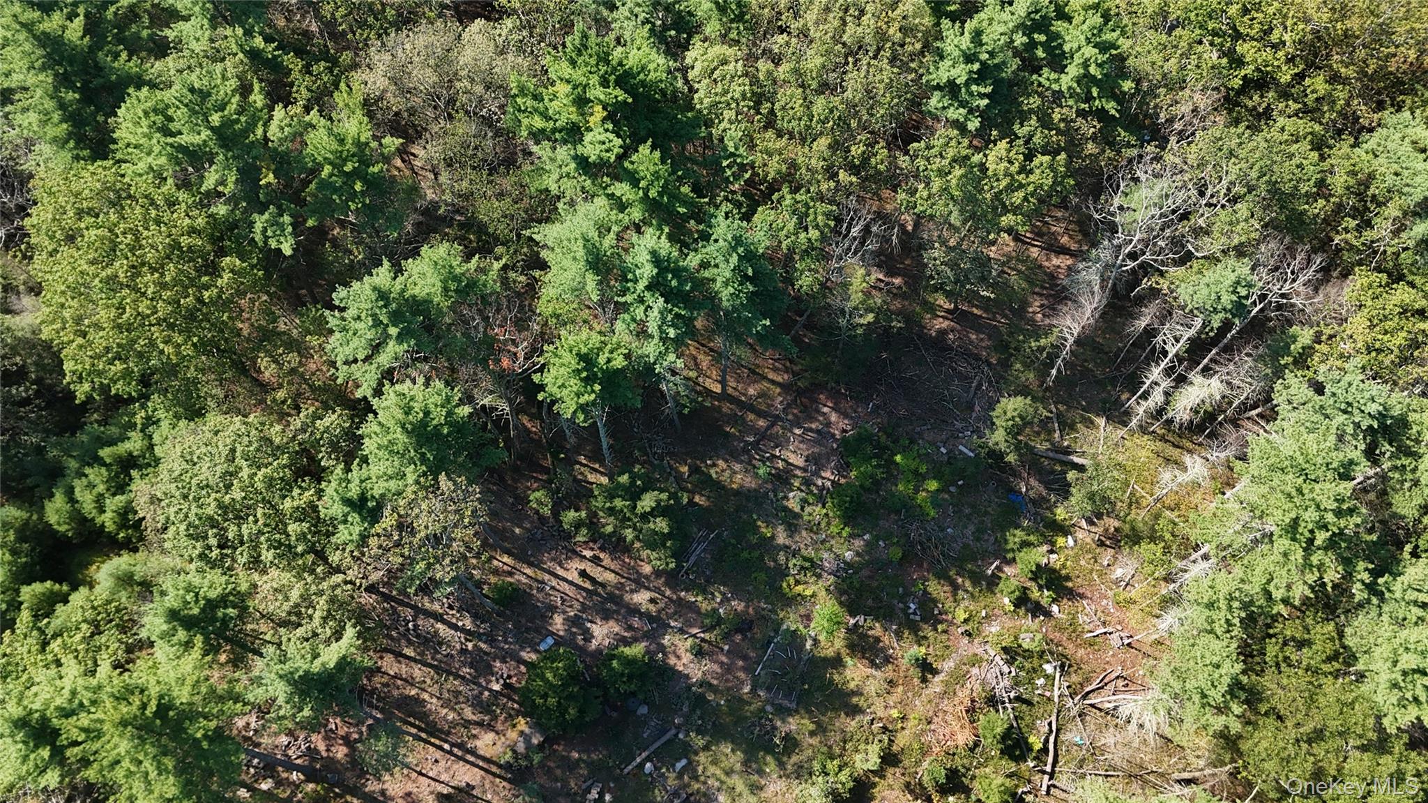 #1 photo, 53 Deer Hill Road, Wurtsboro , NY 12790