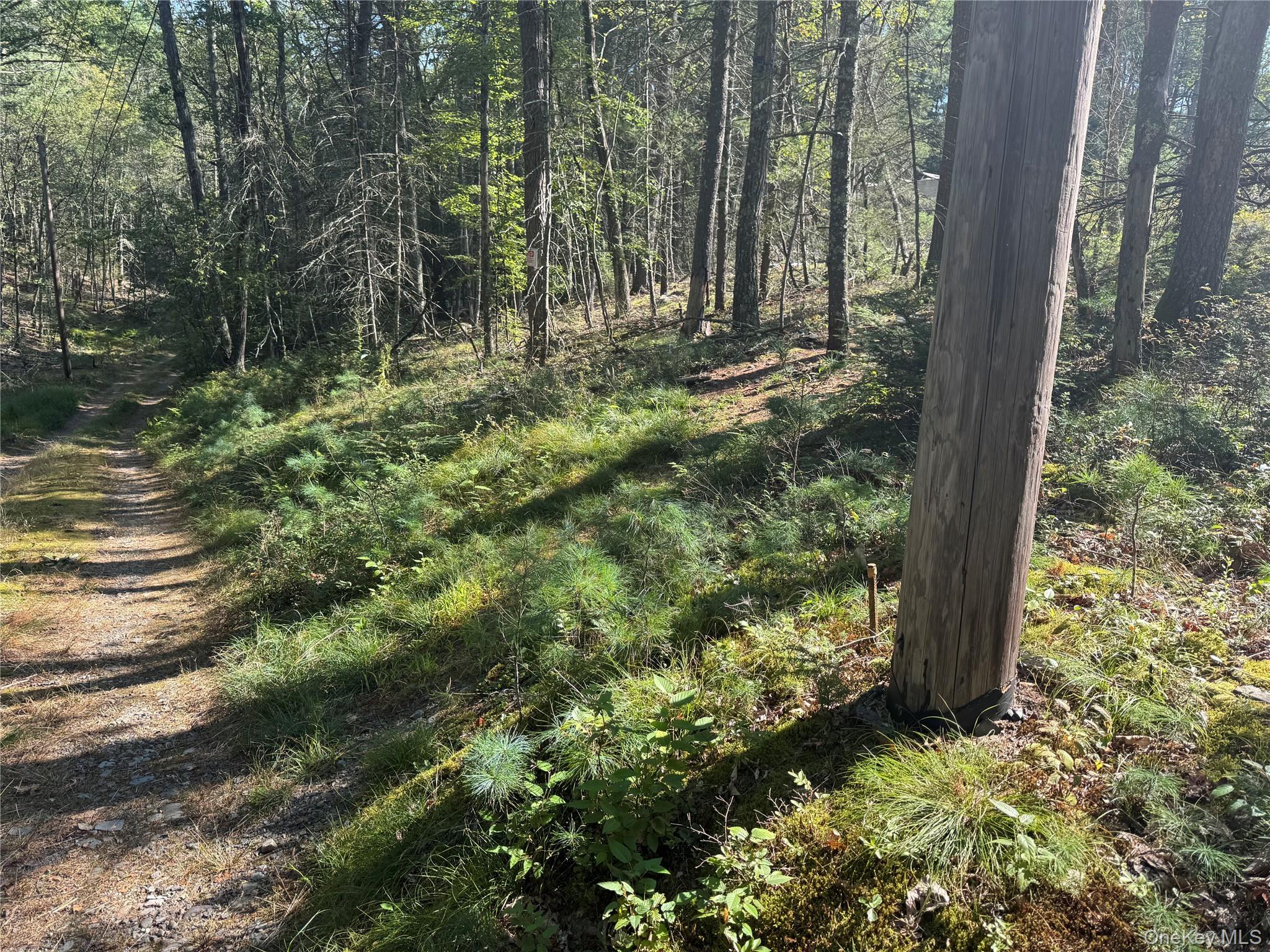 #8 photo, 53 Deer Hill Road, Wurtsboro , NY 12790