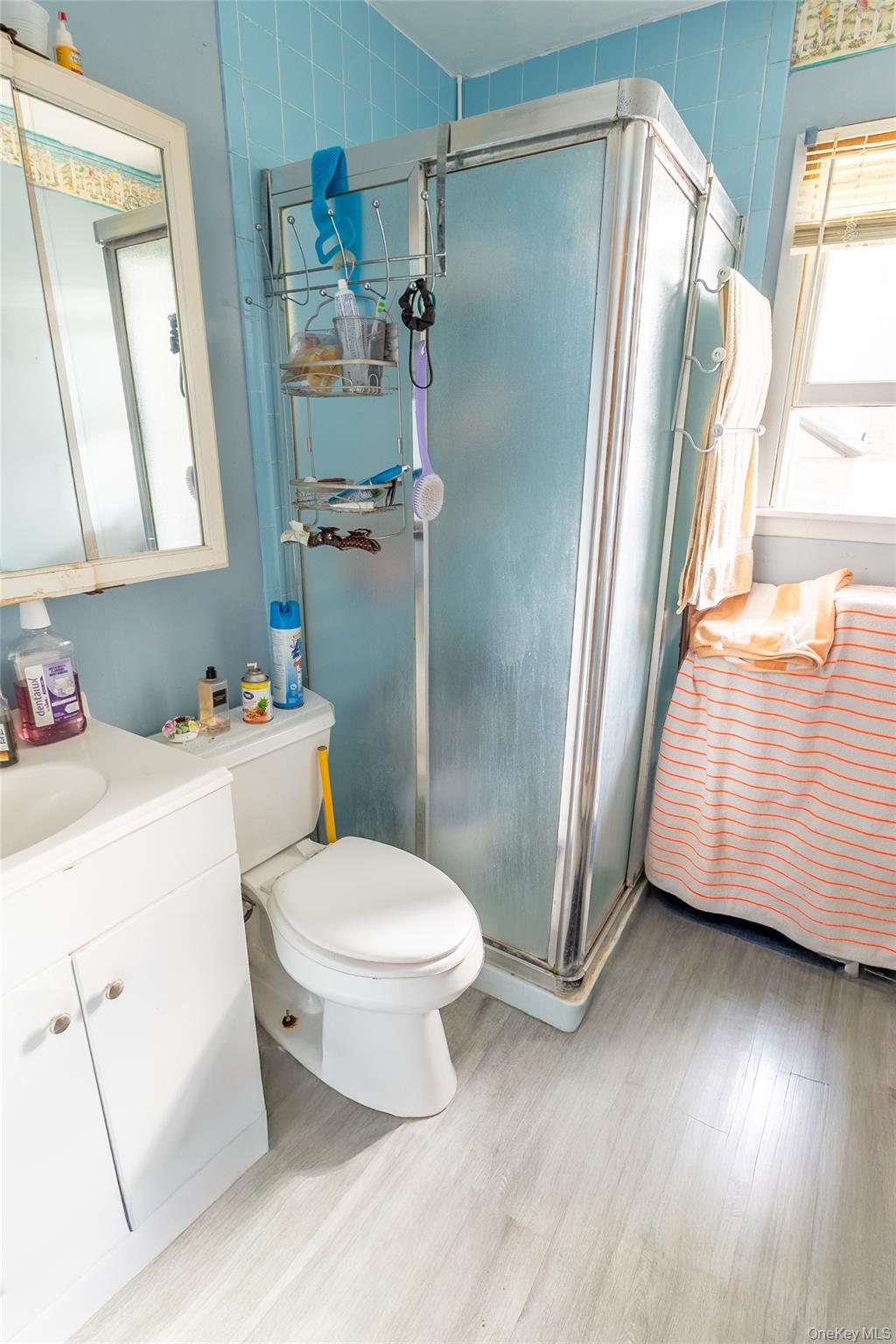 #10 photo, 60 32nd Street, 东长岛 Copiague , NY 11726