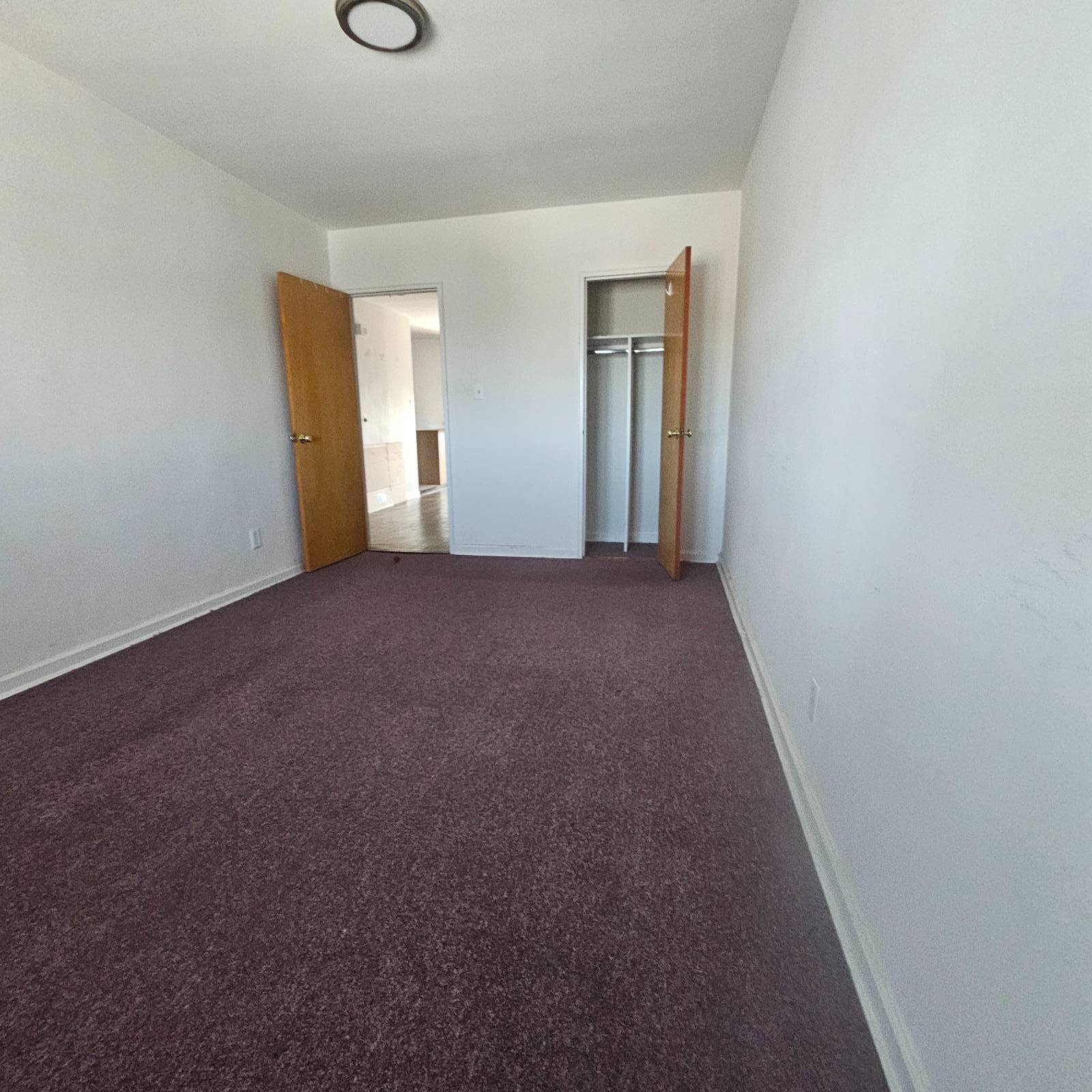 #14 photo, 57-55 79th Street, クイーンズ区 Middle Village , NY 11379