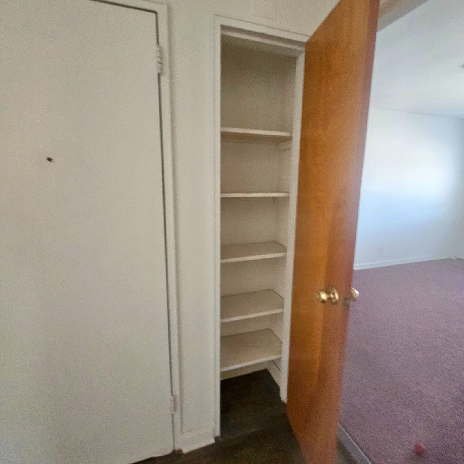 #15 photo, 57-55 79th Street, クイーンズ区 Middle Village , NY 11379