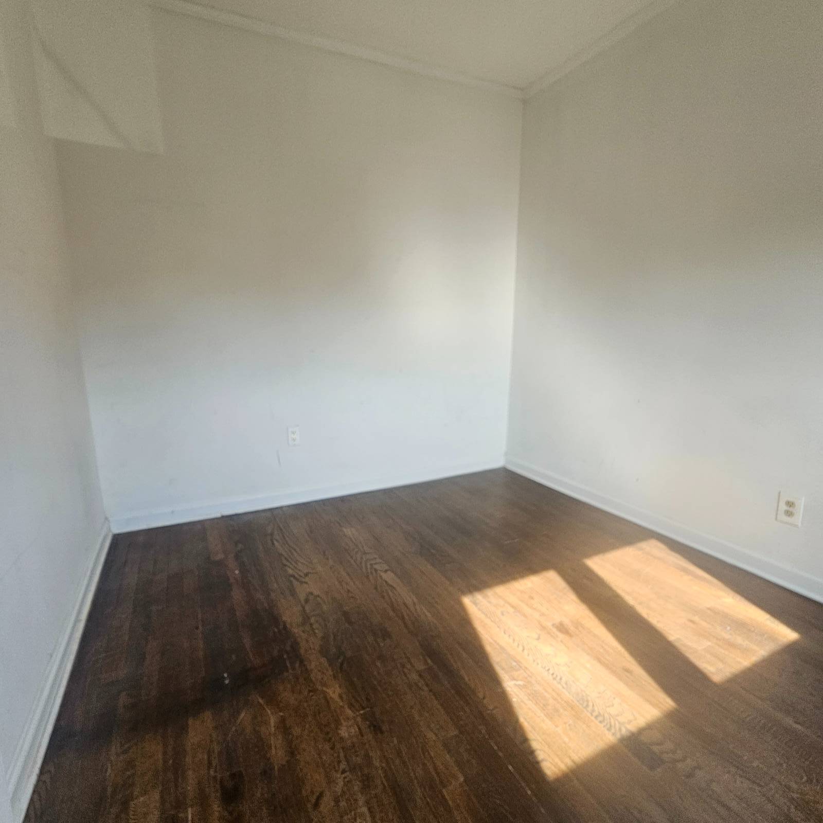 #9 photo, 57-55 79th Street, クイーンズ区 Middle Village , NY 11379