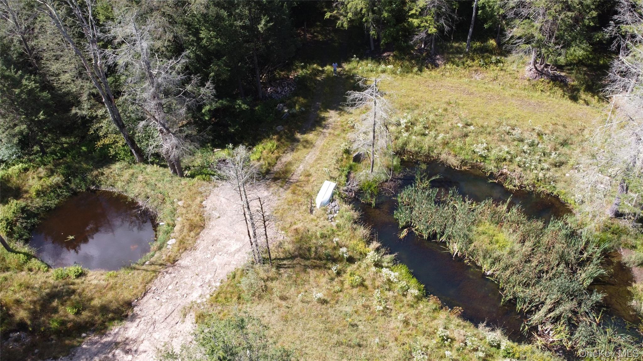 #12 photo, 226 Goff Road, Livingston Manor , NY 12758