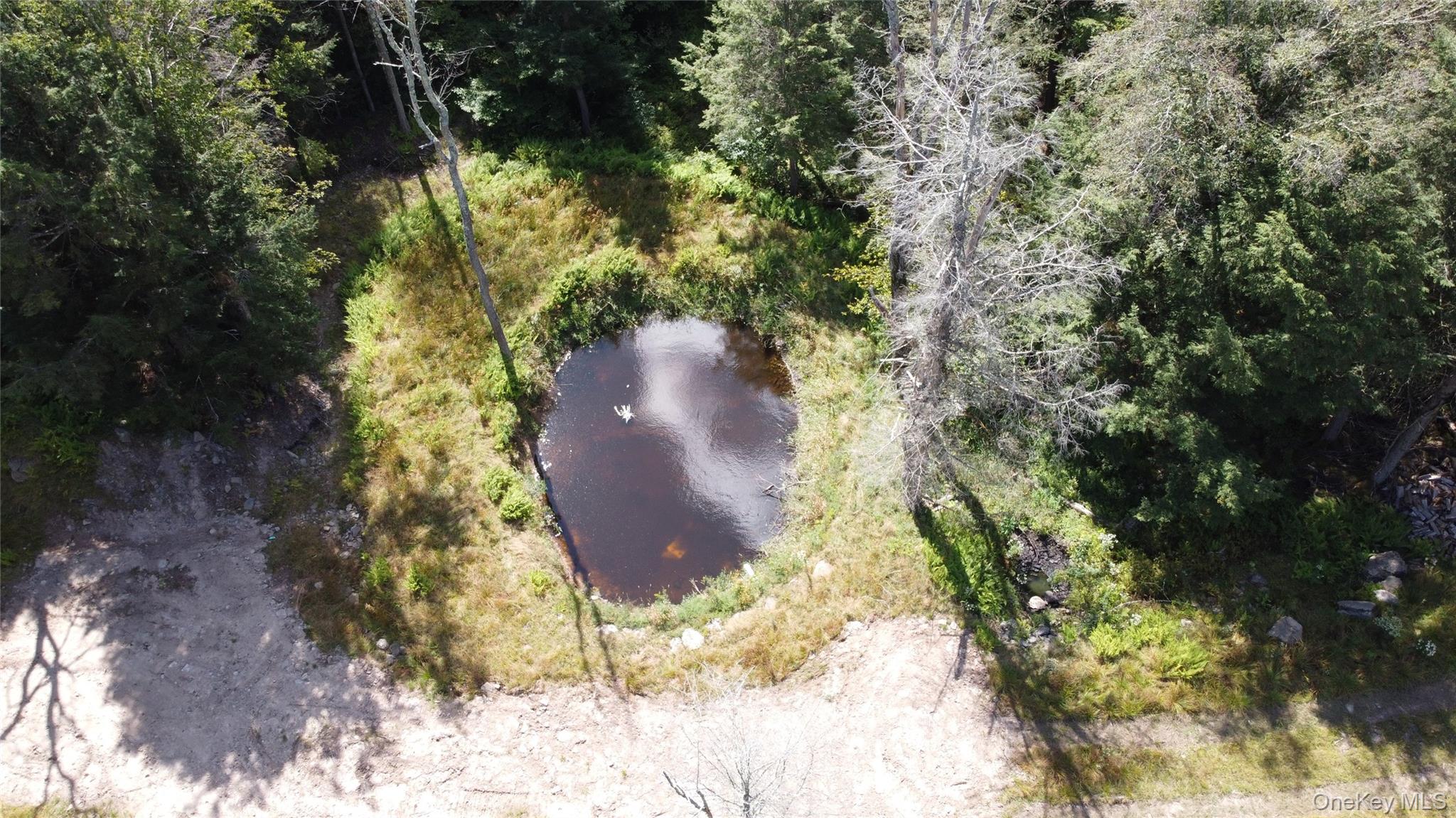 #13 photo, 226 Goff Road, Livingston Manor , NY 12758