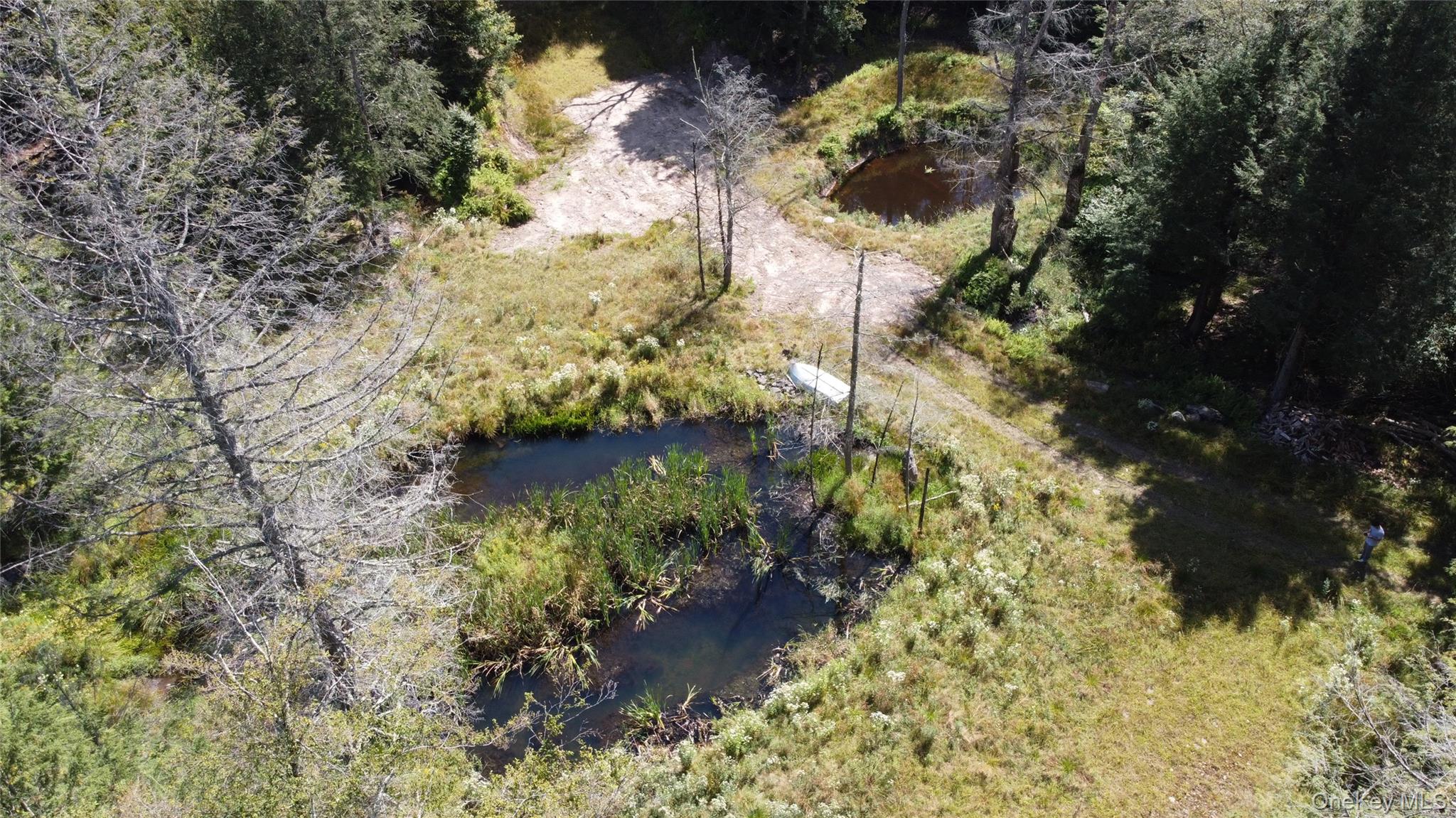 #14 photo, 226 Goff Road, Livingston Manor , NY 12758