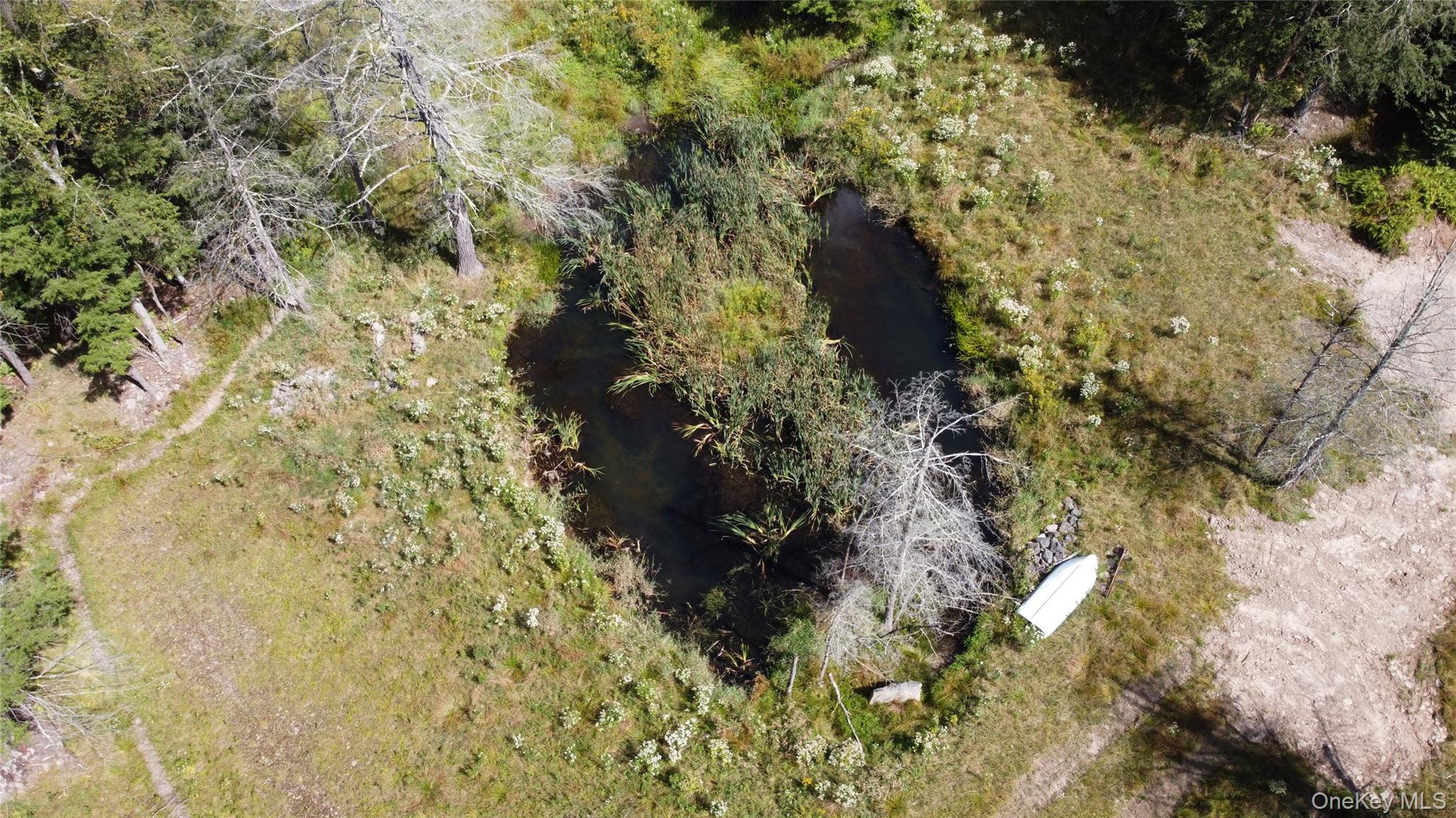 #2 photo, 226 Goff Road, Livingston Manor , NY 12758