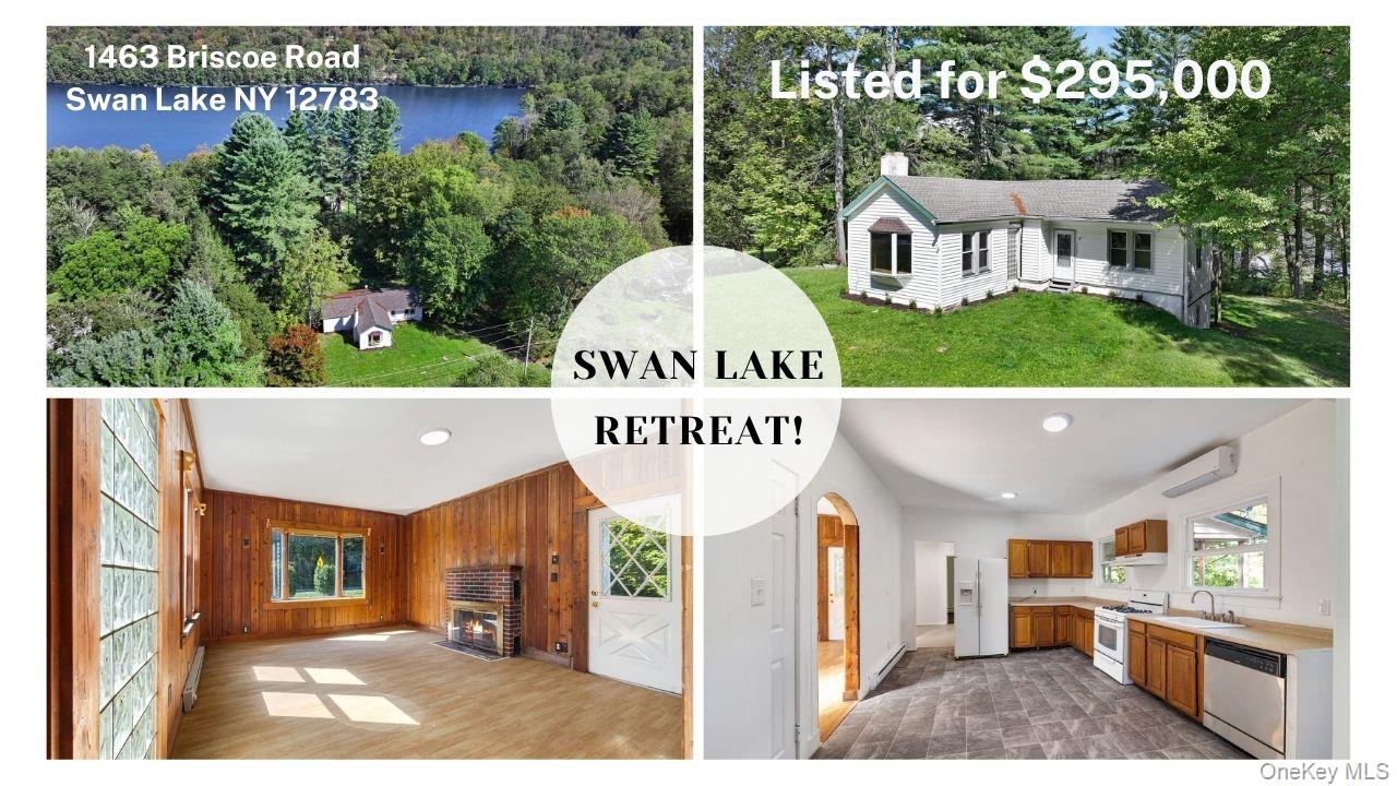 #1 photo, 1463 Briscoe Road, Swan Lake , NY 12783