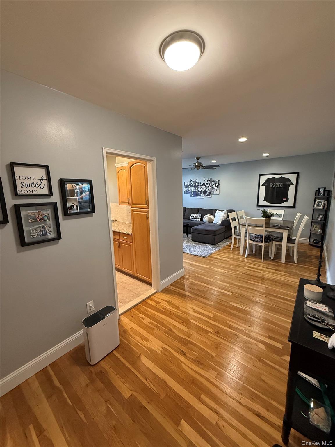 #2 photo, 25 Elizabeth Street, ナッソー郡 Farmingdale , NY 11735