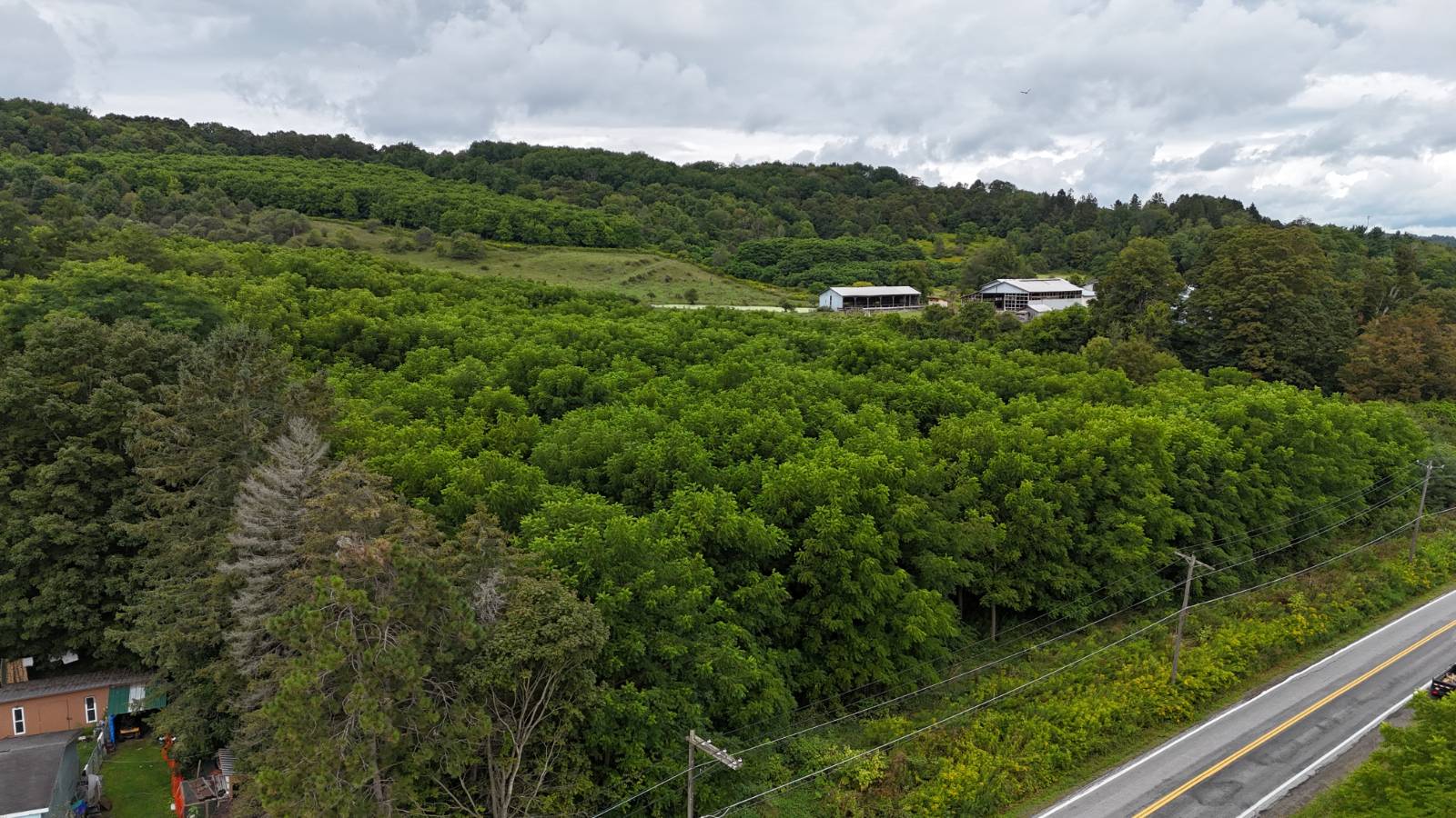 #11 photo, 00 County Rd 14, Earlville , NY 13332