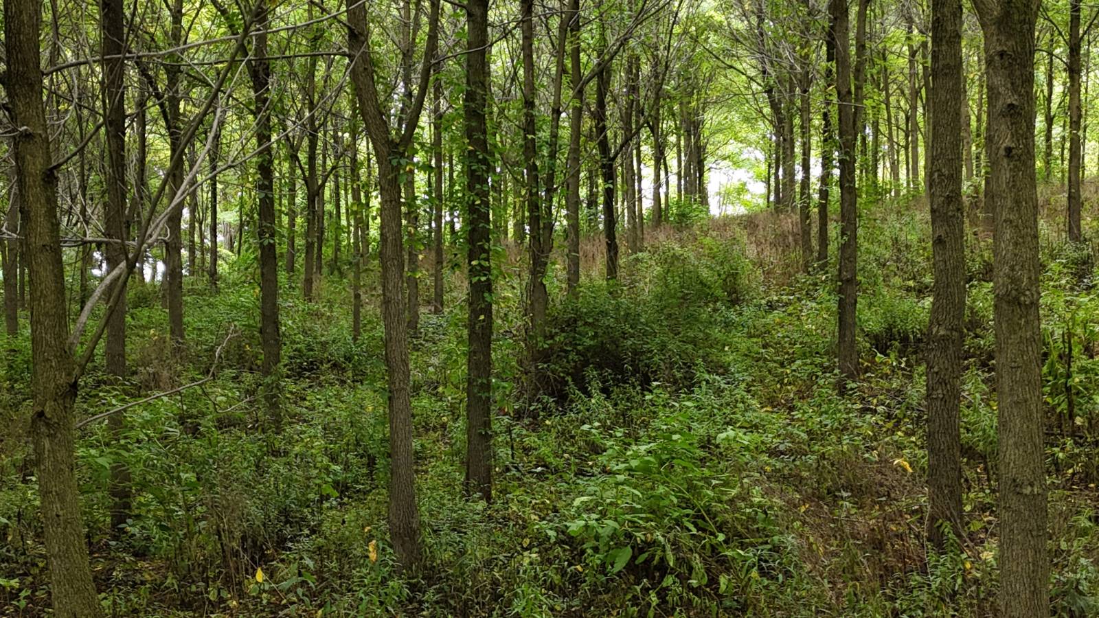 #14 photo, 00 County Rd 14, Earlville , NY 13332