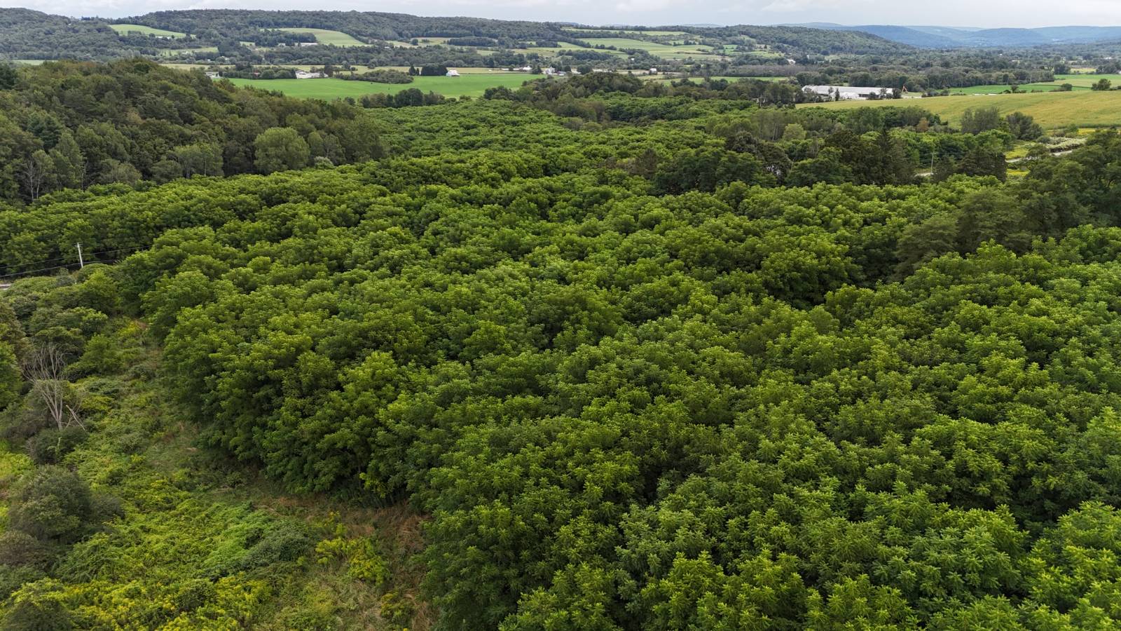 #2 photo, 00 County Rd 14, Earlville , NY 13332