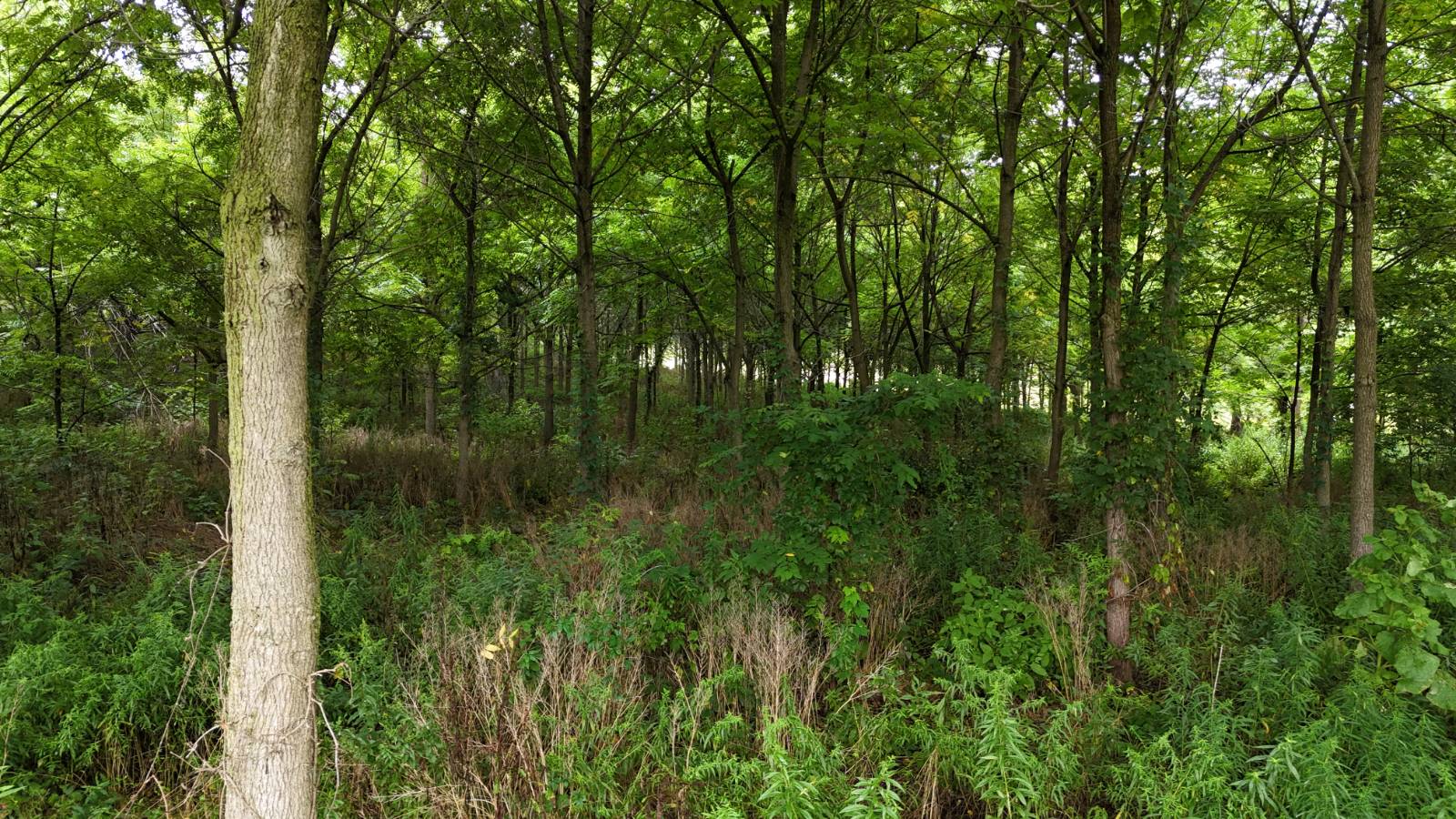 #3 photo, 00 County Rd 14, Earlville , NY 13332