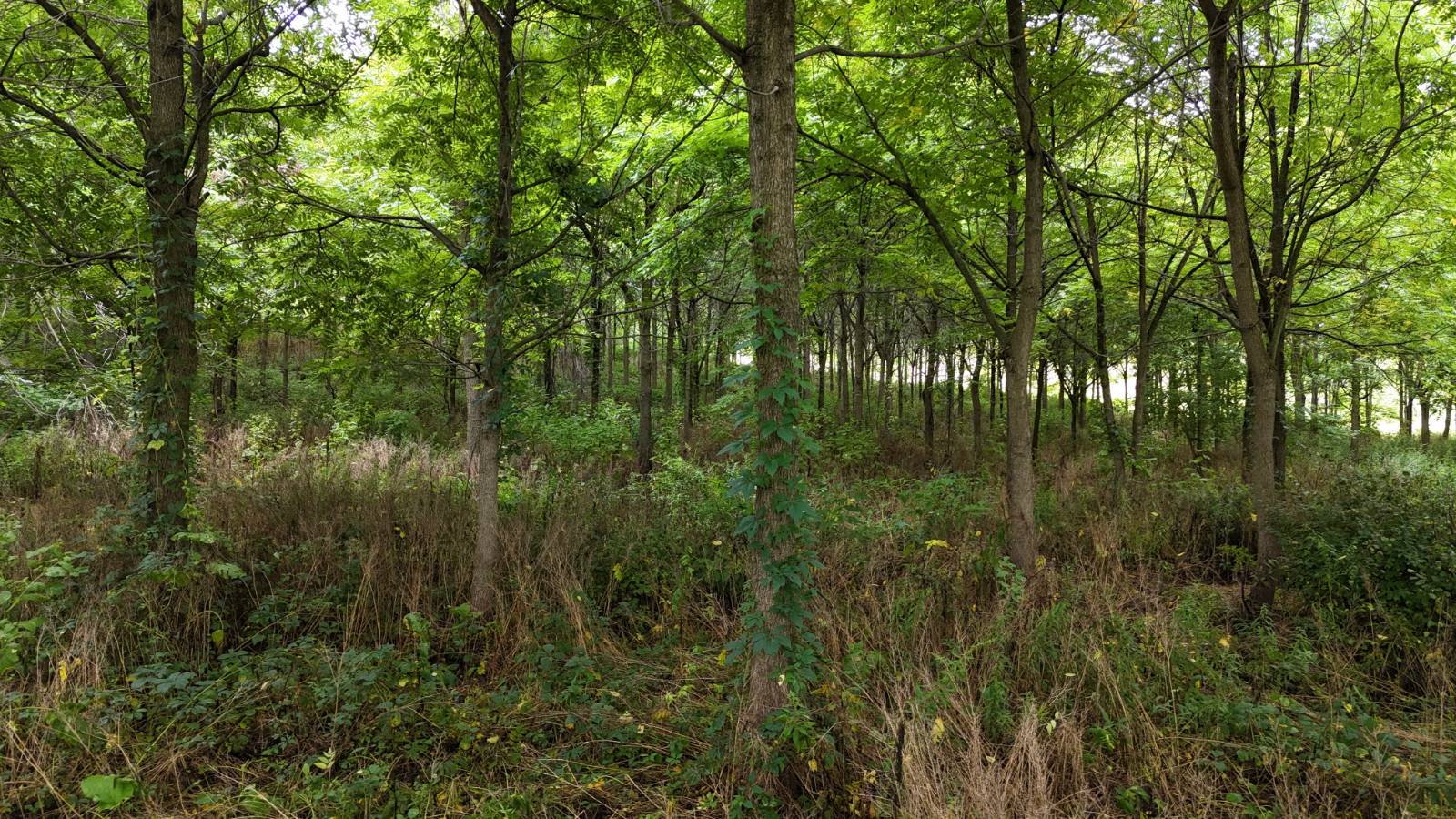 #6 photo, 00 County Rd 14, Earlville , NY 13332