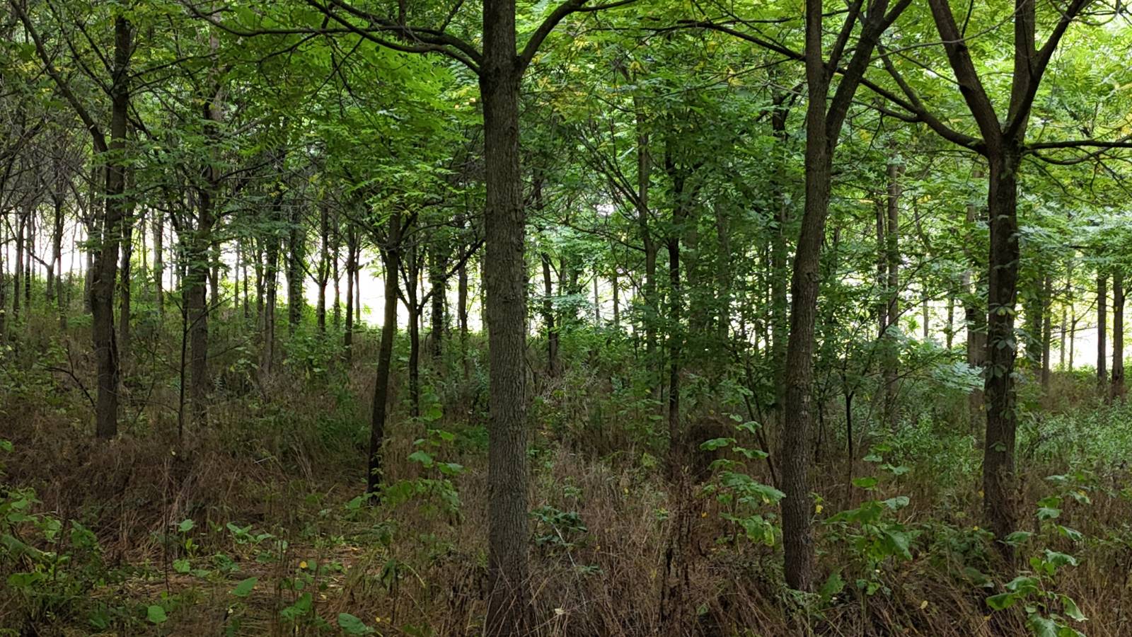 #7 photo, 00 County Rd 14, Earlville , NY 13332