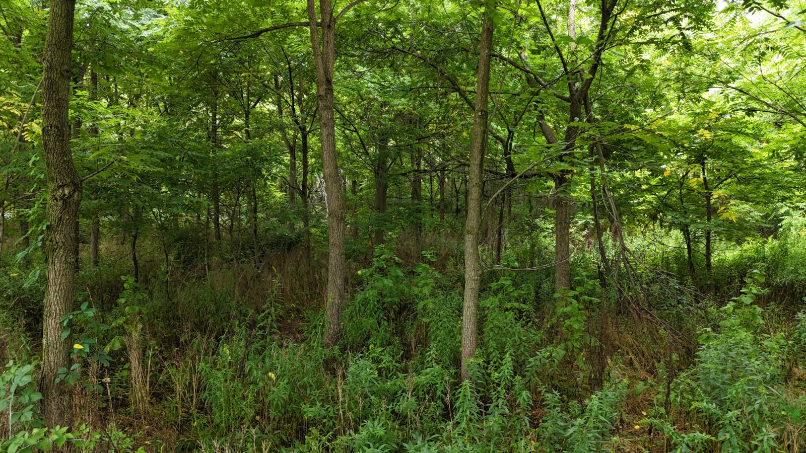 #8 photo, 00 County Rd 14, Earlville , NY 13332