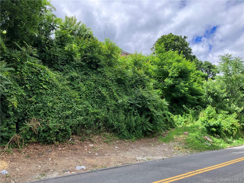 #2 photo, 127 -133 Frederic Street, Yonkers , NY 10703