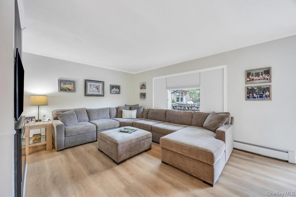 #13 photo, 243 Elm Drive, 长岛 Levittown , NY 11756