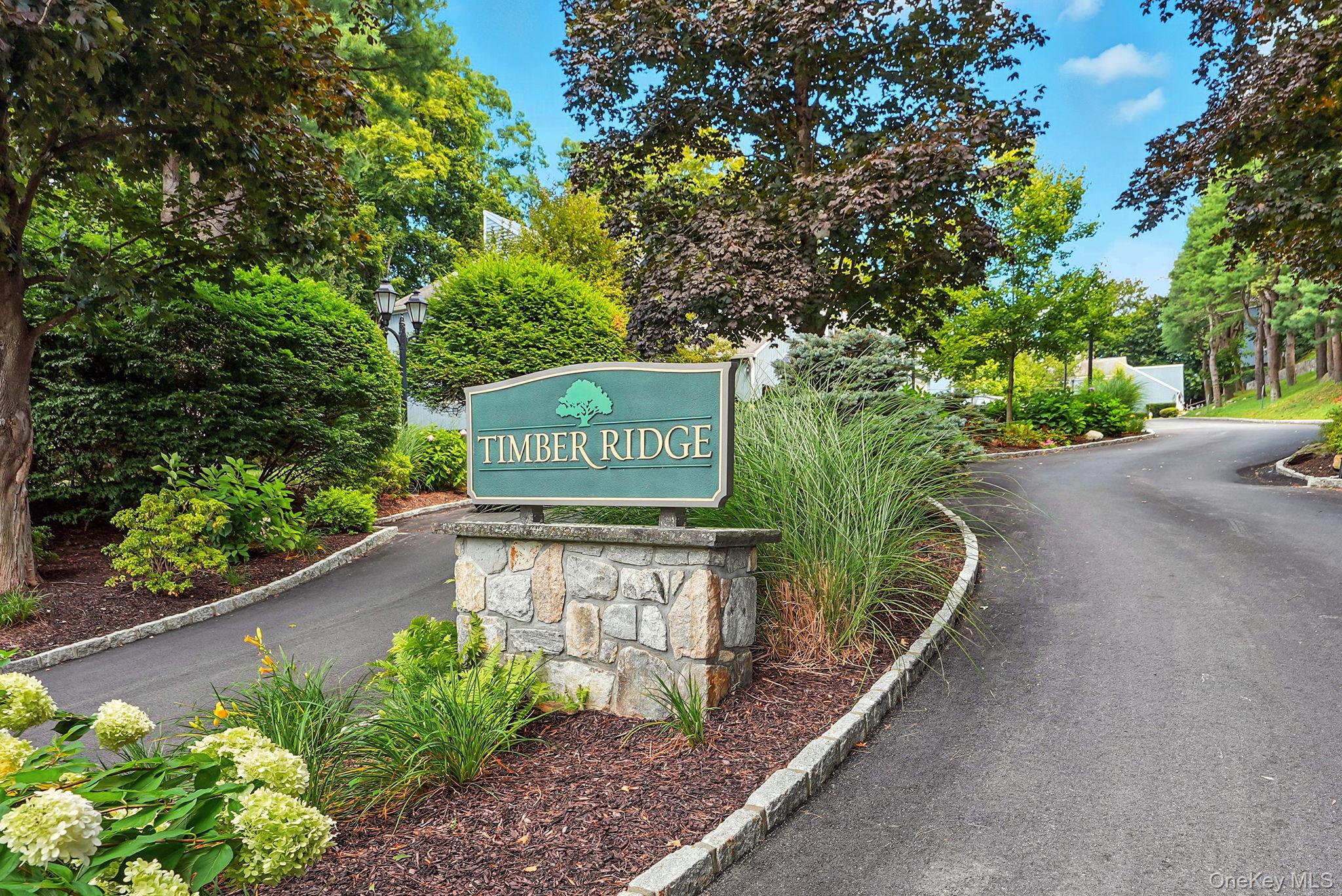 #1 photo, 16 Timber Ridge, 纽约州 Mount Kisco , NY 10549