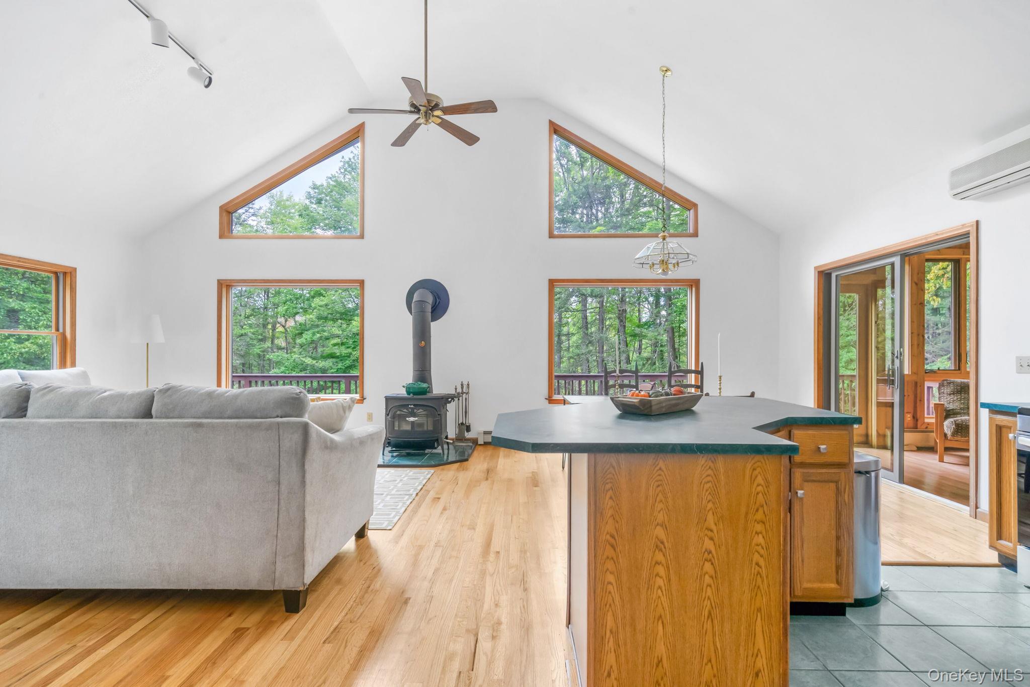 #11 photo, 650 Beaverkill Road, Olivebridge , NY 12461