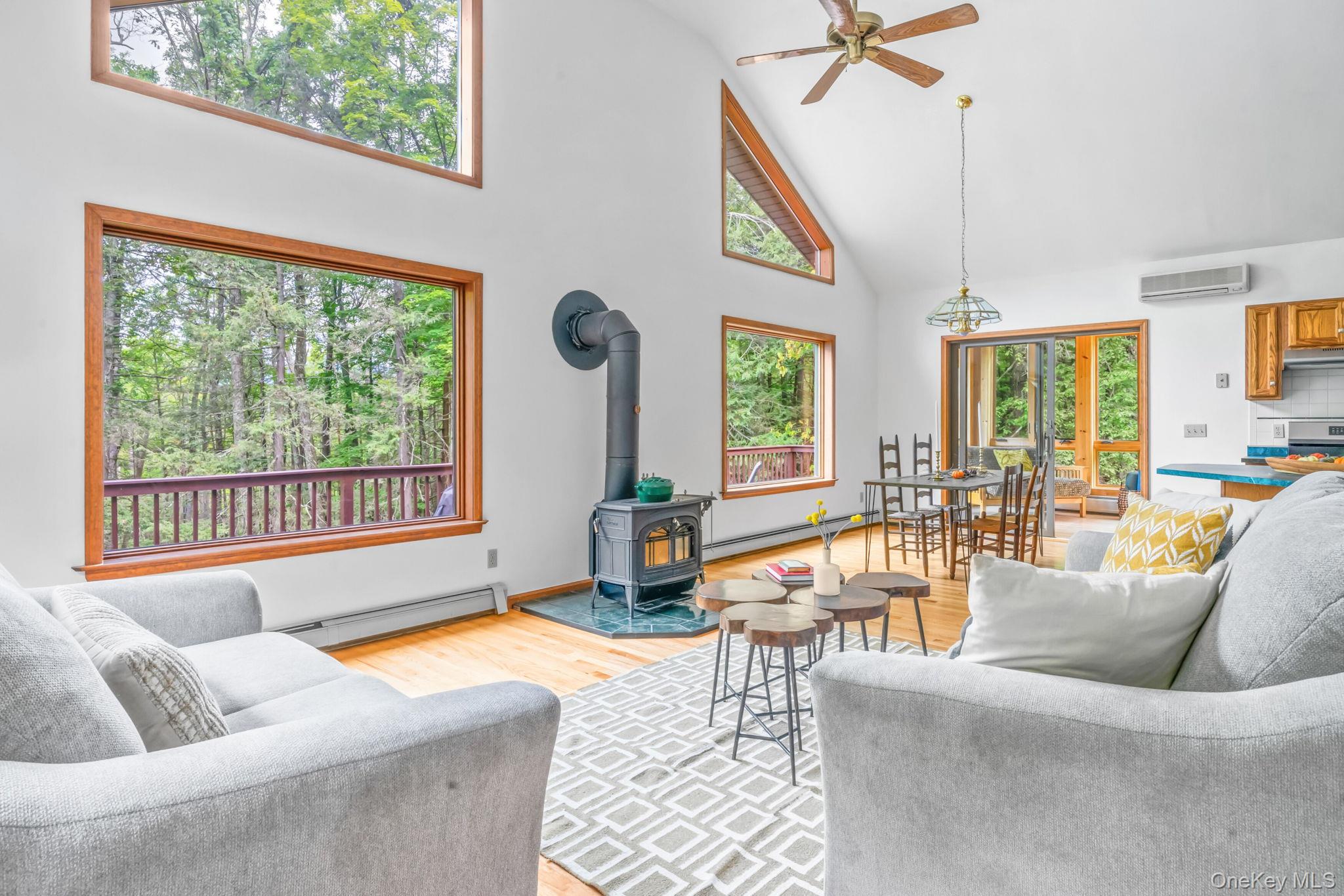 #5 photo, 650 Beaverkill Road, Olivebridge , NY 12461