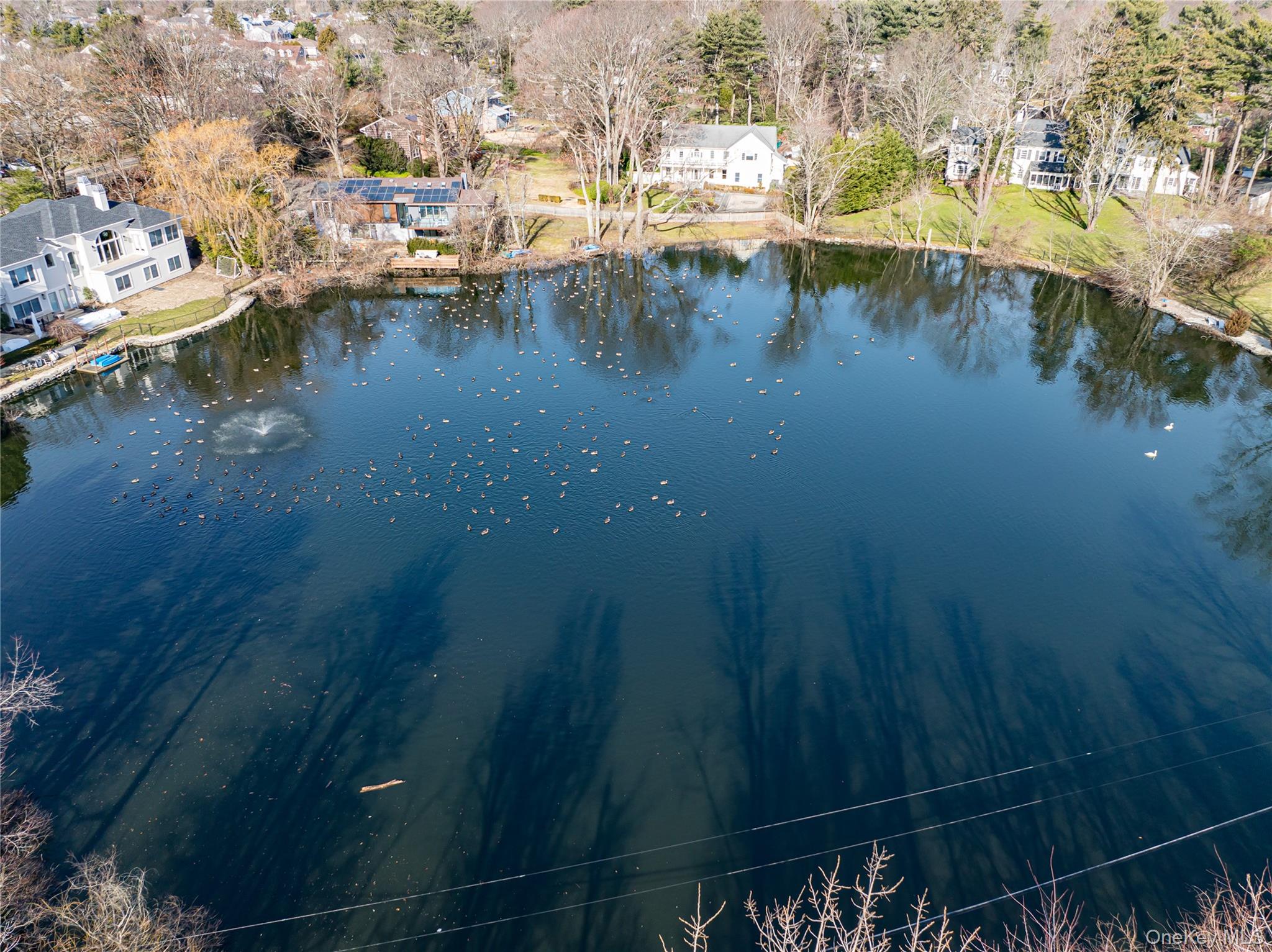 #17 photo, 130 Syosset Woodbury Road, Syosset , NY 11791