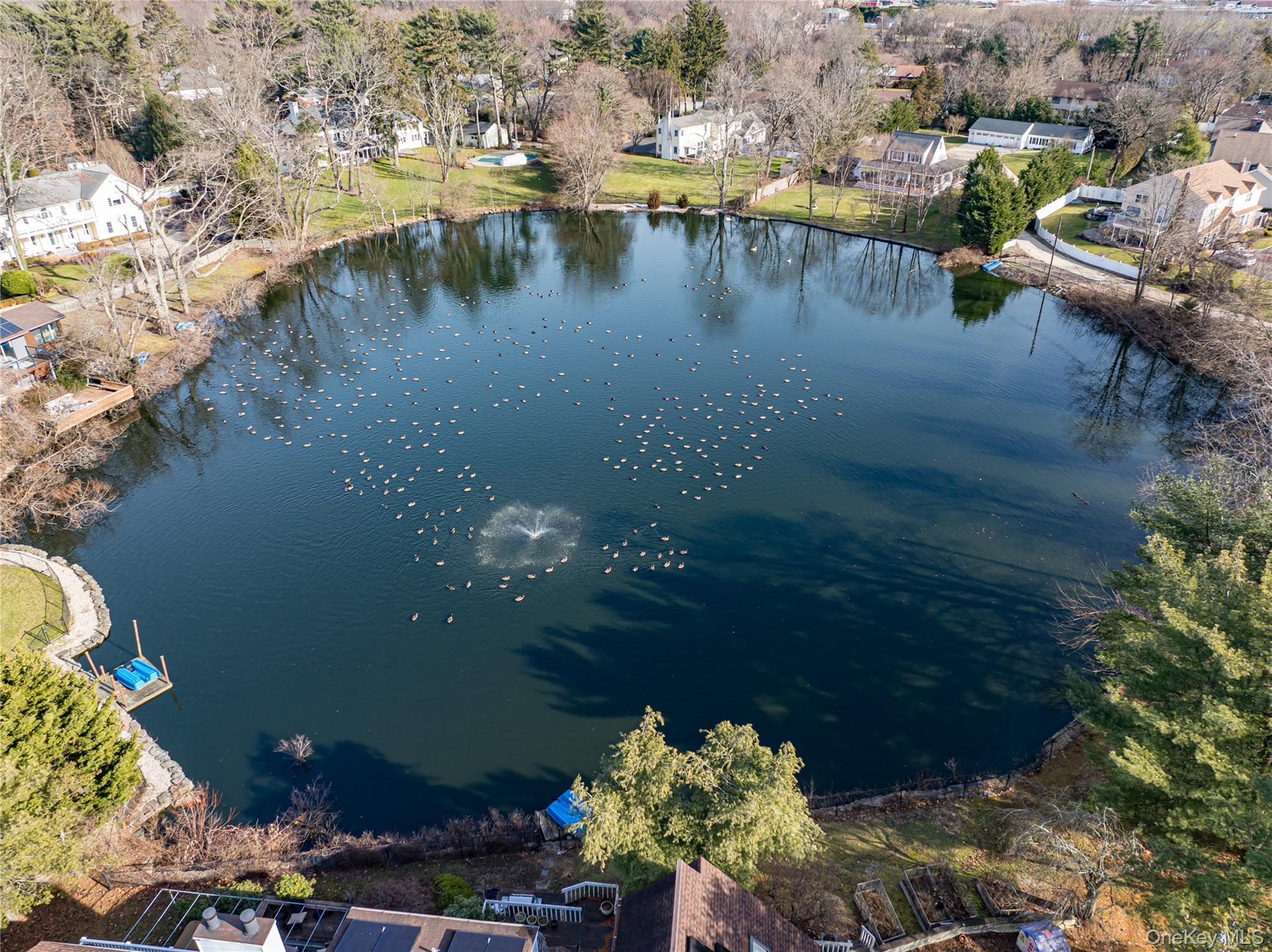 #18 photo, 130 Syosset Woodbury Road, Syosset , NY 11791