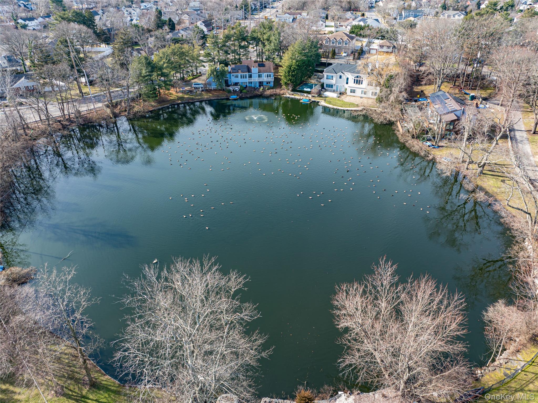 #19 photo, 130 Syosset Woodbury Road, Syosset , NY 11791