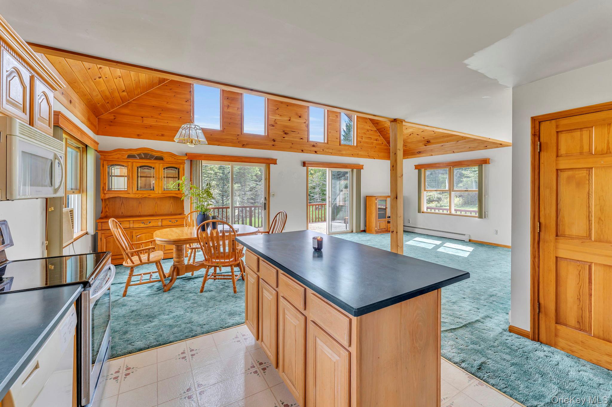 #16 photo, 1355 Cornwallville Road, Durham , NY 12418