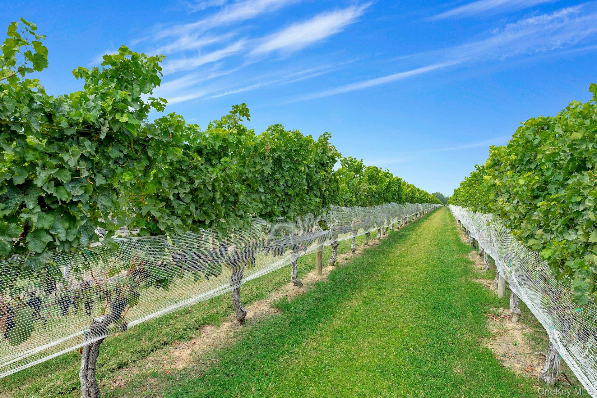 #1 photo, 44075 Route 25, サフォーク郡 Peconic , NY 11971