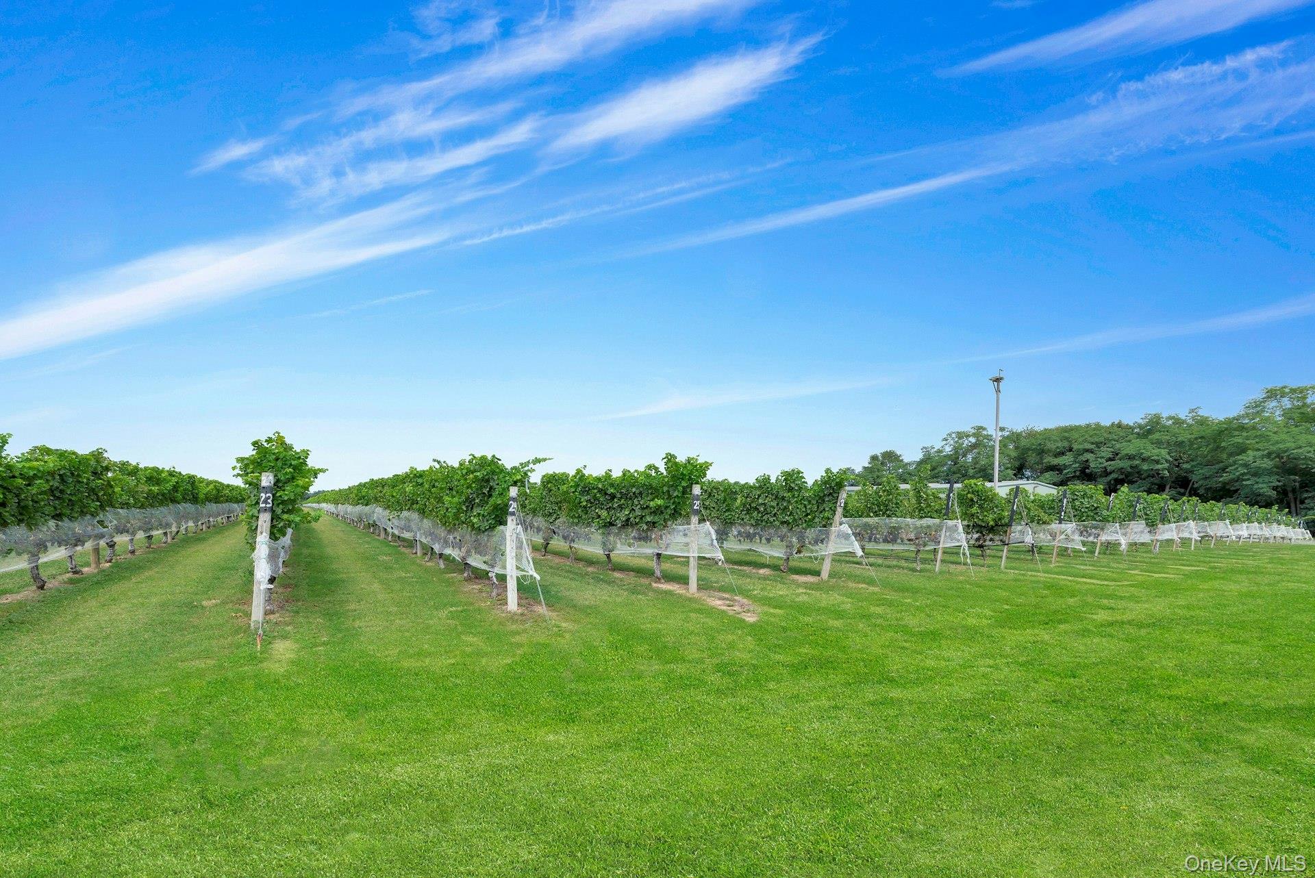 #2 photo, 44075 Route 25, サフォーク郡 Peconic , NY 11971