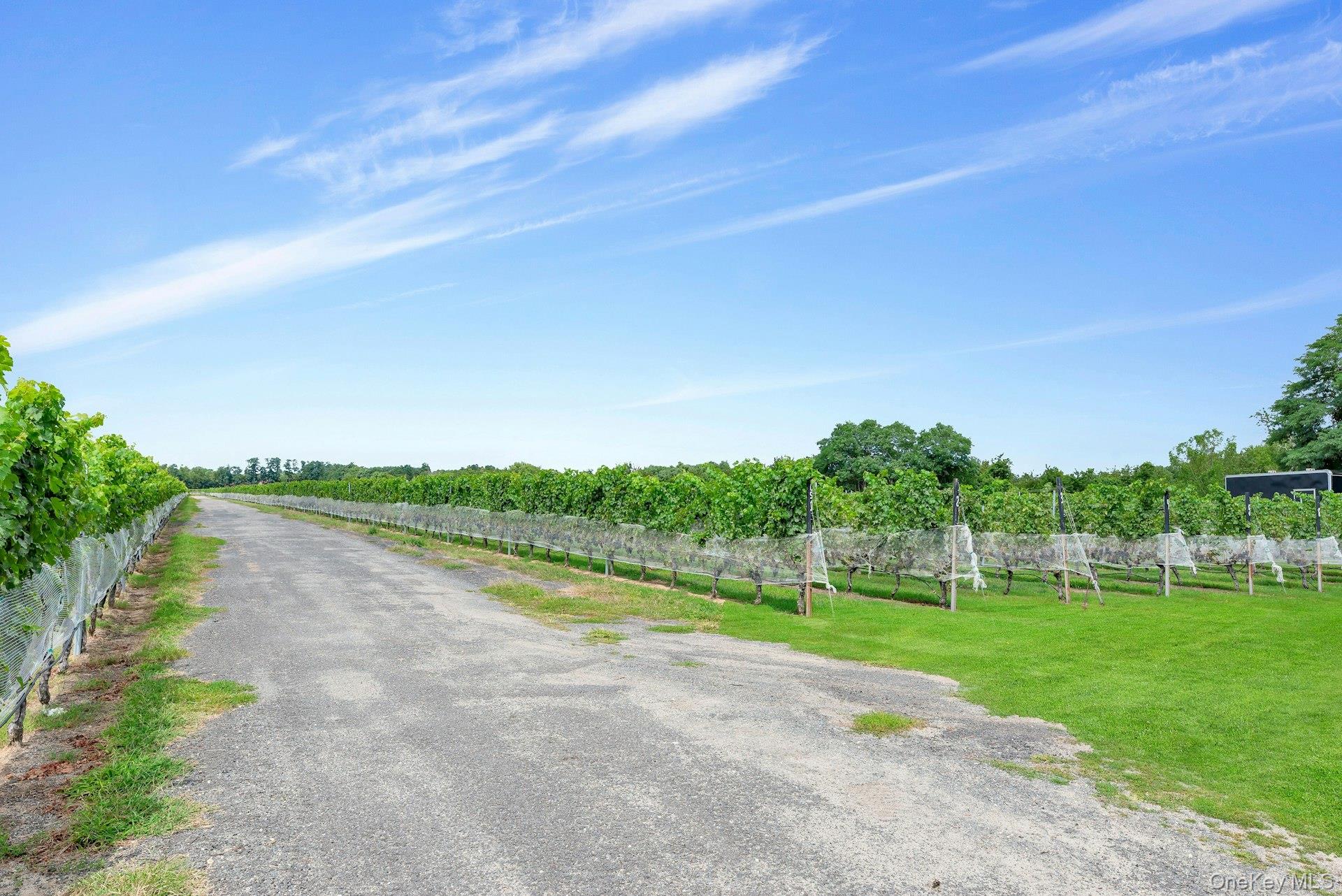 #9 photo, 44075 Route 25, サフォーク郡 Peconic , NY 11971