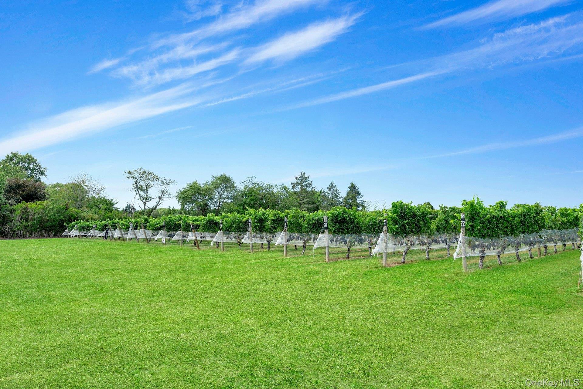 #3 photo, 44075 Route 25, サフォーク郡 Peconic , NY 11971