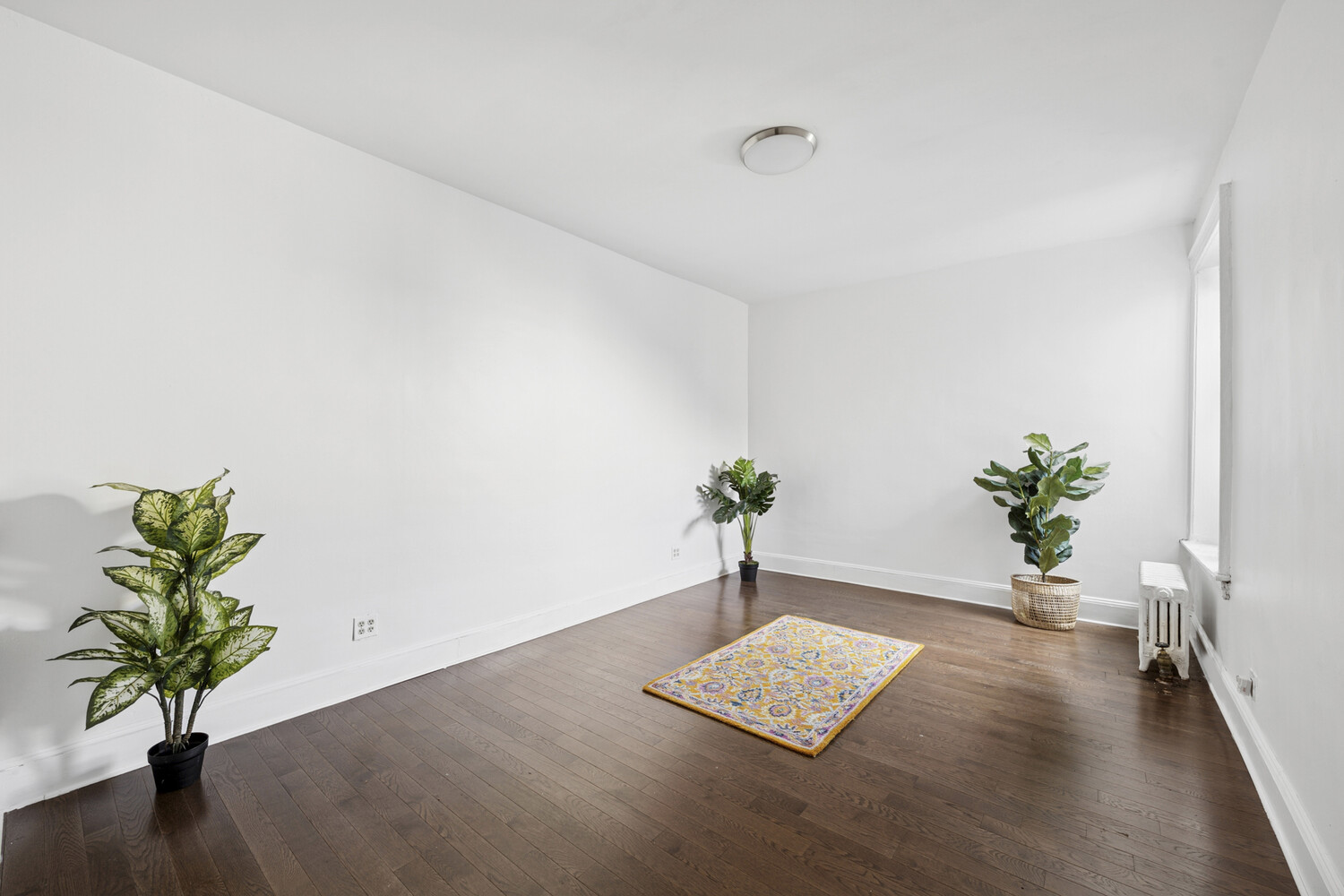 #9 photo, 345 MONTGOMERY Street, ブルックリン区 Crown Heights , NY 11213