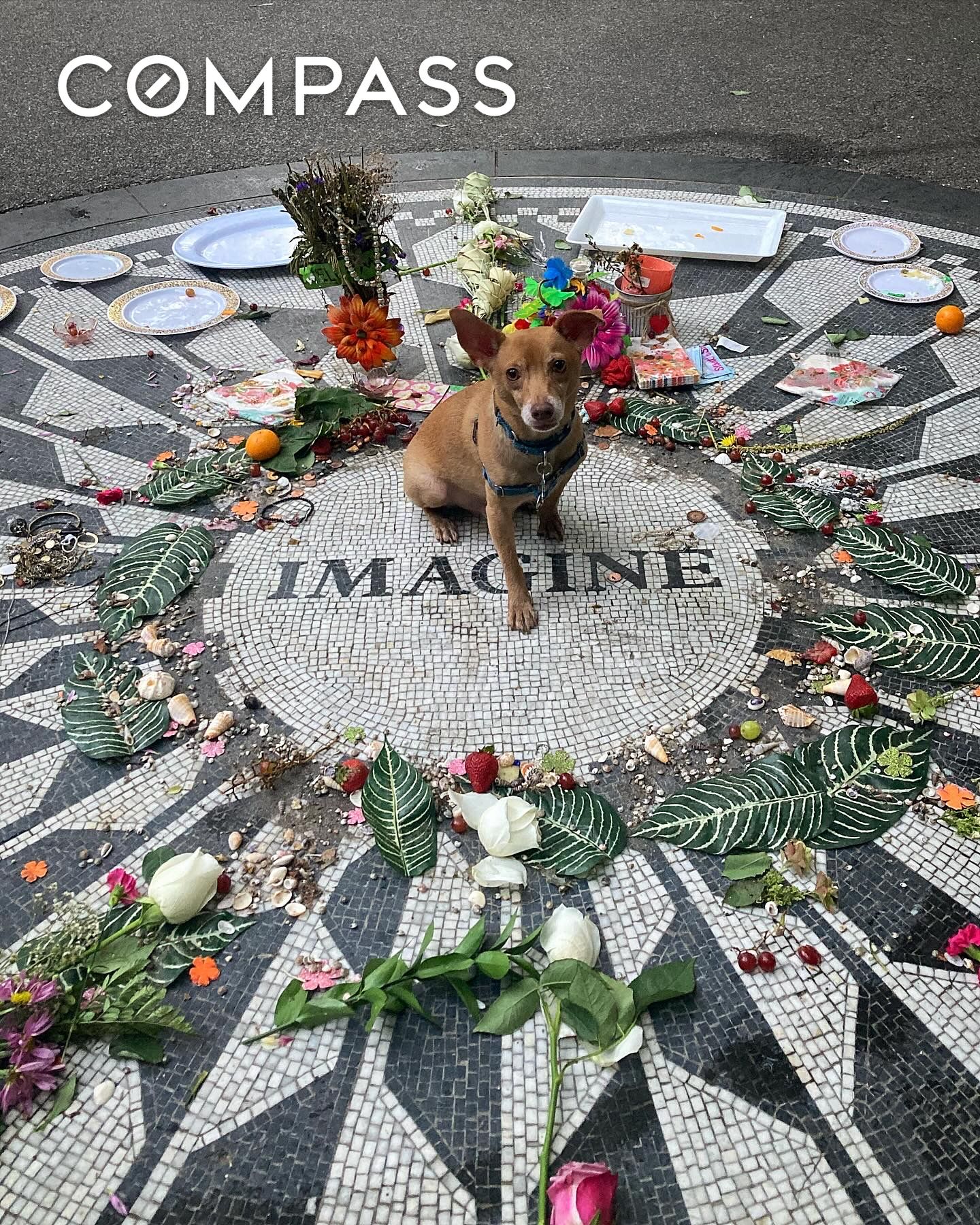 #17 photo, 140 W 69th Street, マンハッタン Upper West Side , NY 10023