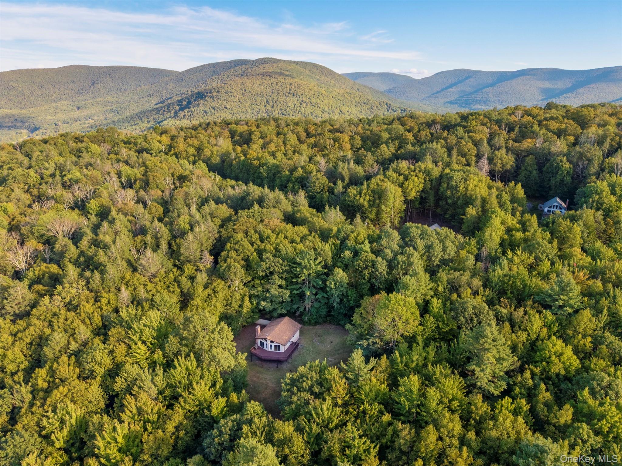 #5 photo, 321 Terrace Drive, Prattsville , NY 12452