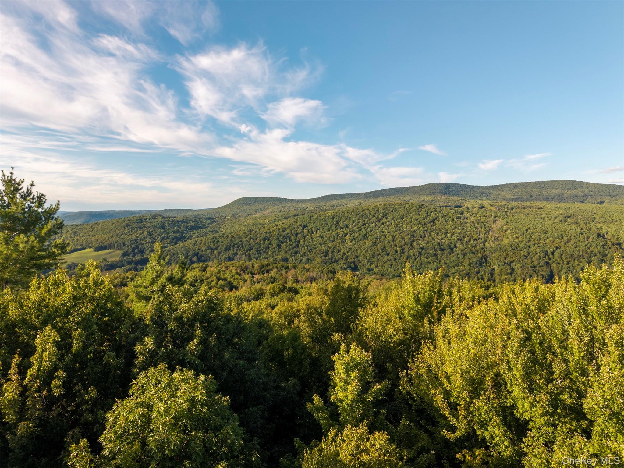 #6 photo, 321 Terrace Drive, Prattsville , NY 12452